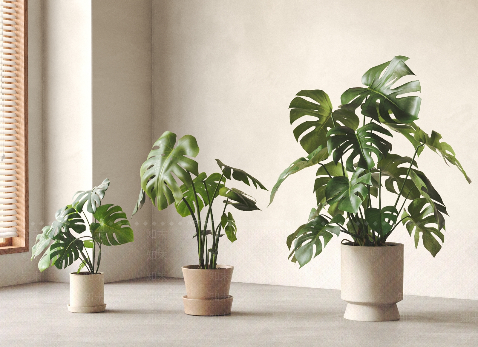 盆栽SU模型下载【ID:1196098702】