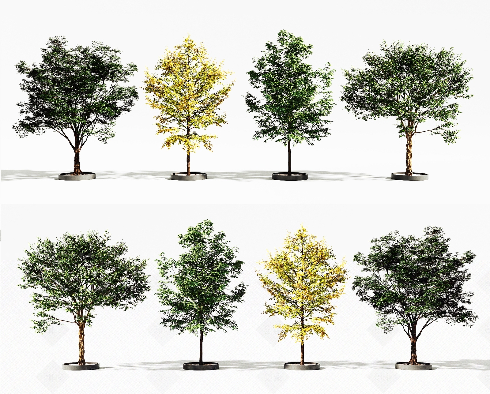 景观树3D模型下载【ID:1196128820】