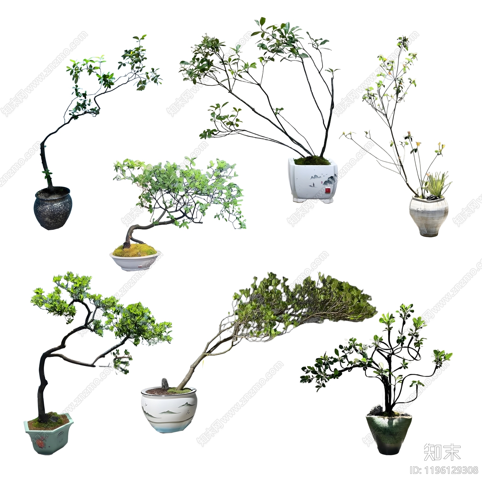 新中式中式其他植物下载【ID:1196129308】