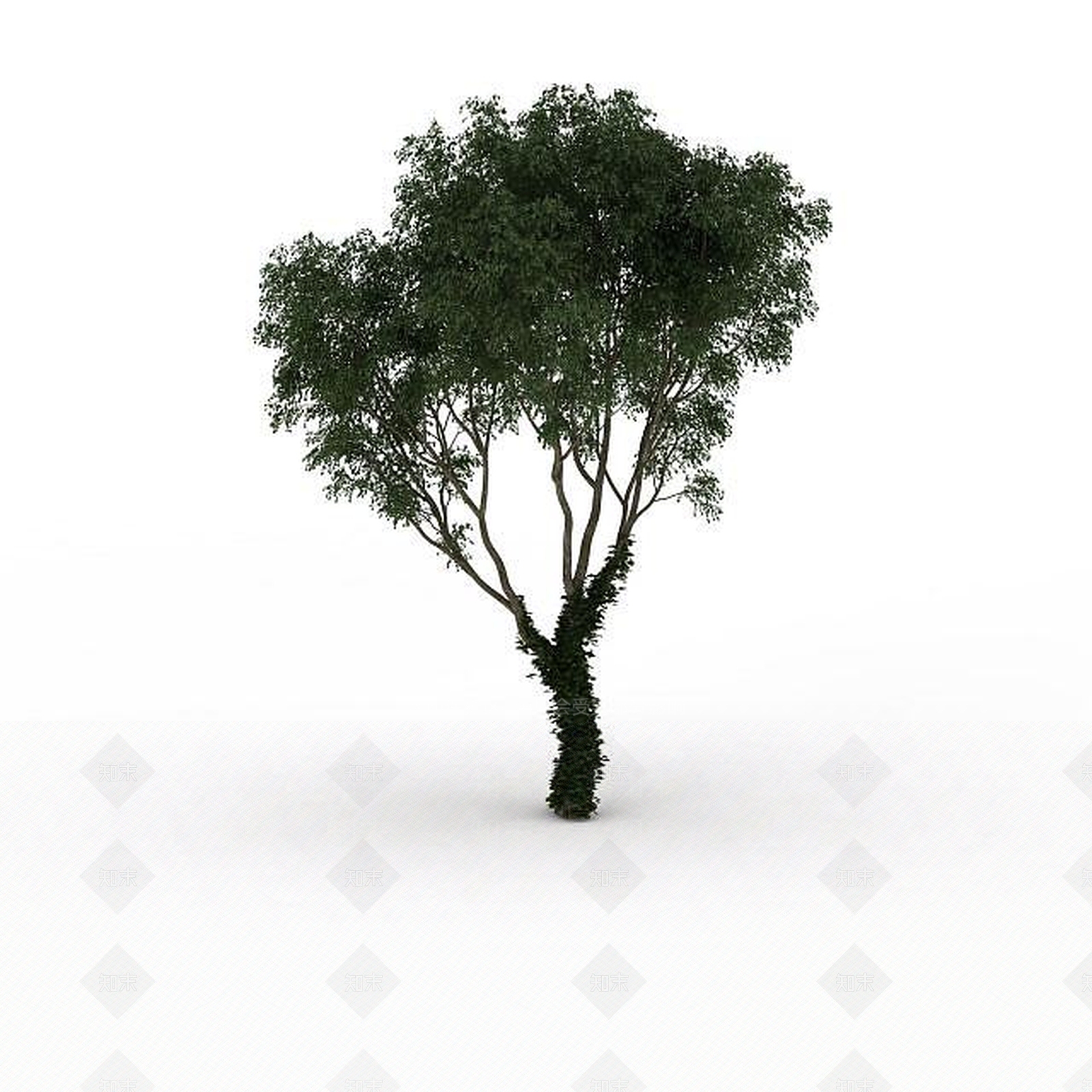 现代道路绿化树3D模型下载【ID:1196184007】