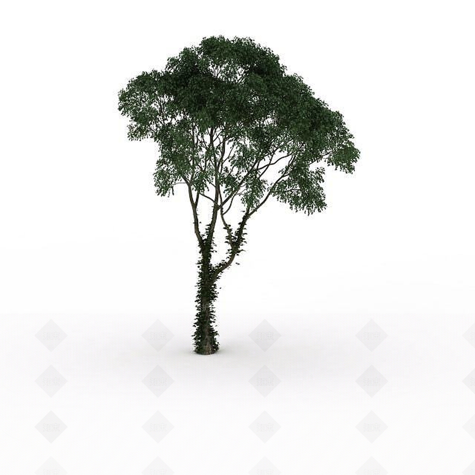 现代道路绿化树3D模型下载【ID:1196184398】