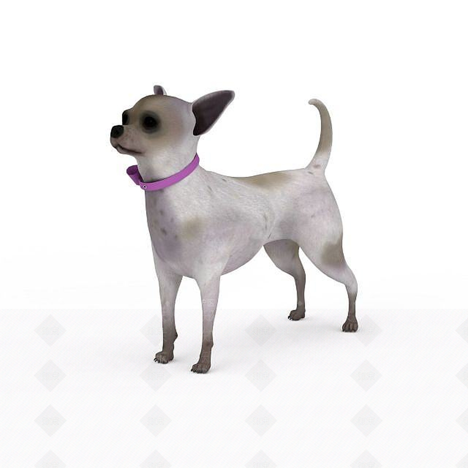 现代白色小狗3D模型下载【ID:1196188602】