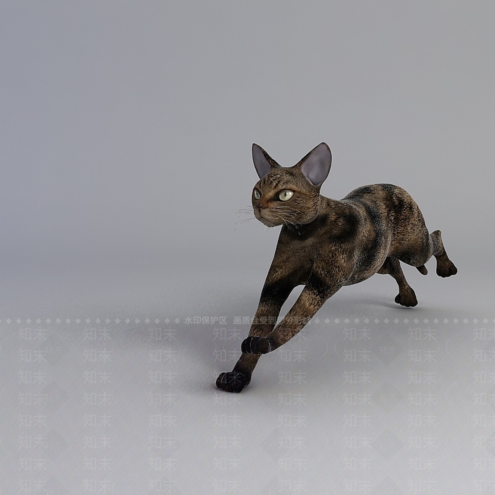现代宠物猫3D模型下载【ID:1196189270】