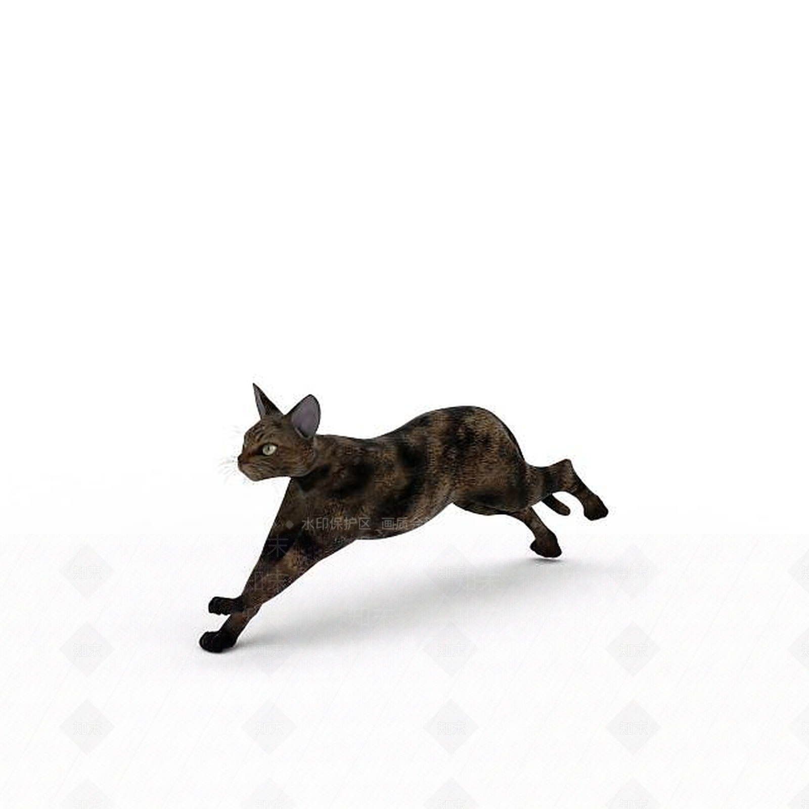 现代宠物猫3D模型下载【ID:1196189270】