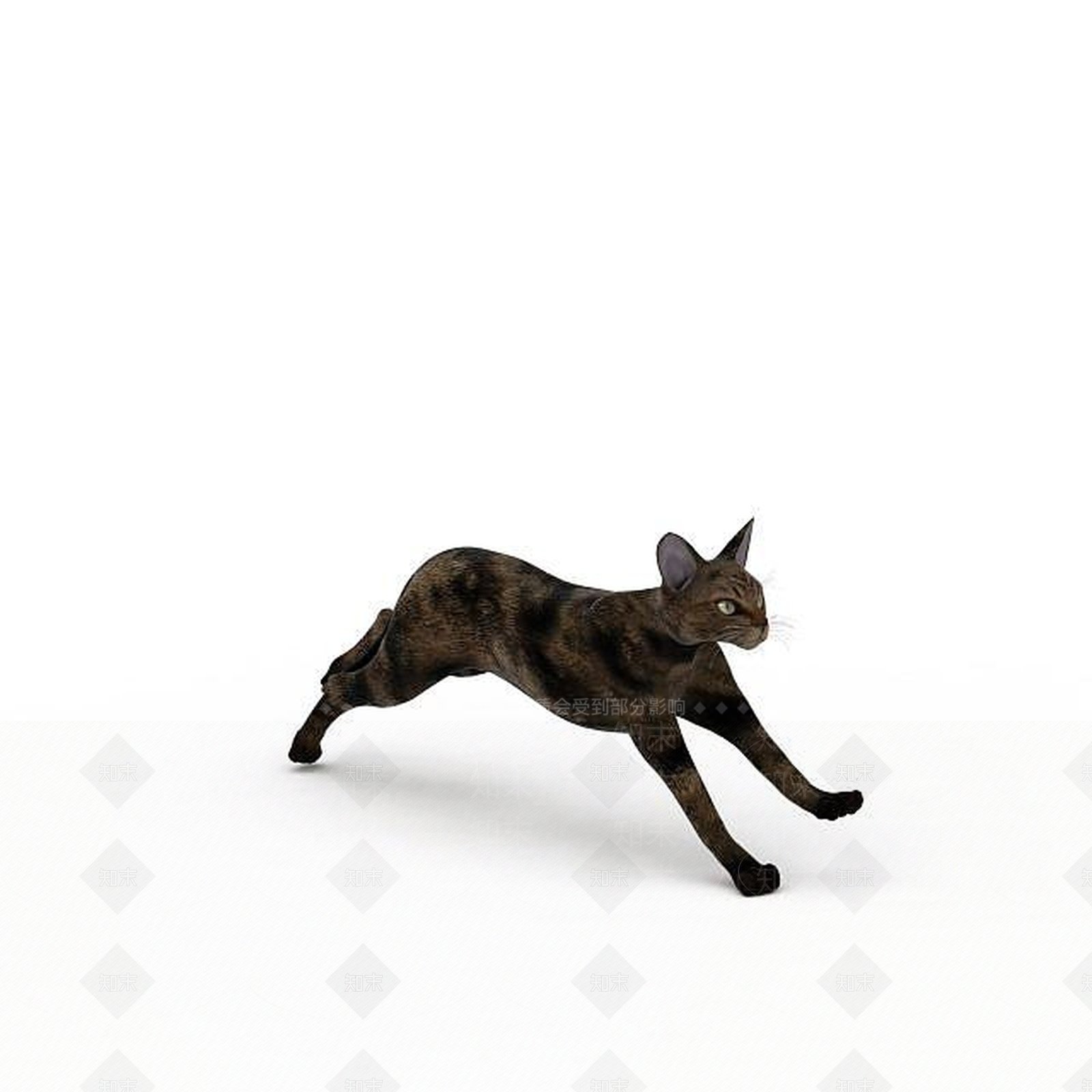 现代宠物猫3D模型下载【ID:1196189270】