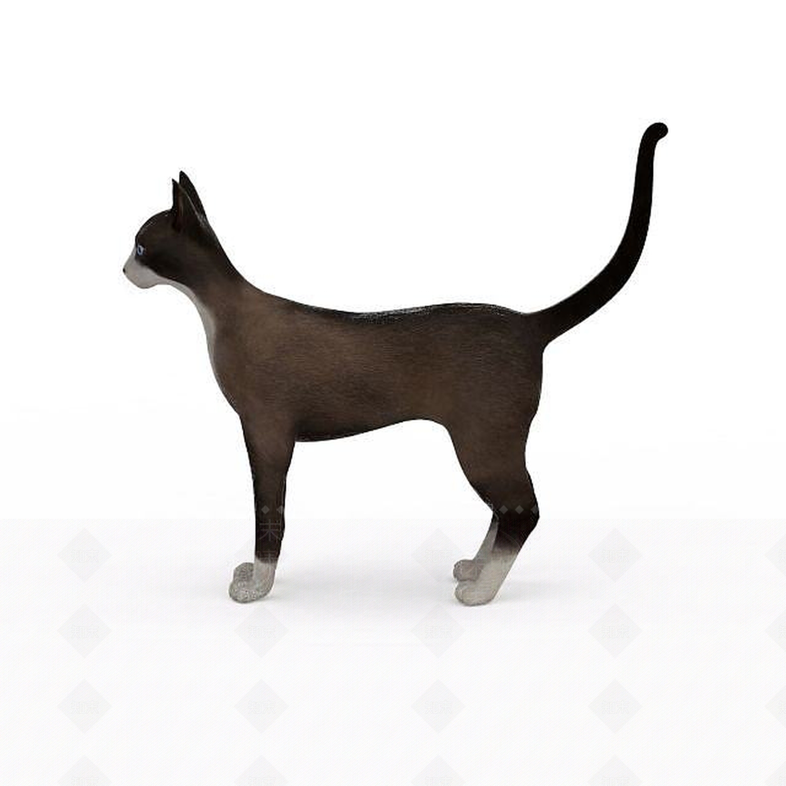 现代玩具猫3D模型下载【ID:1196189611】