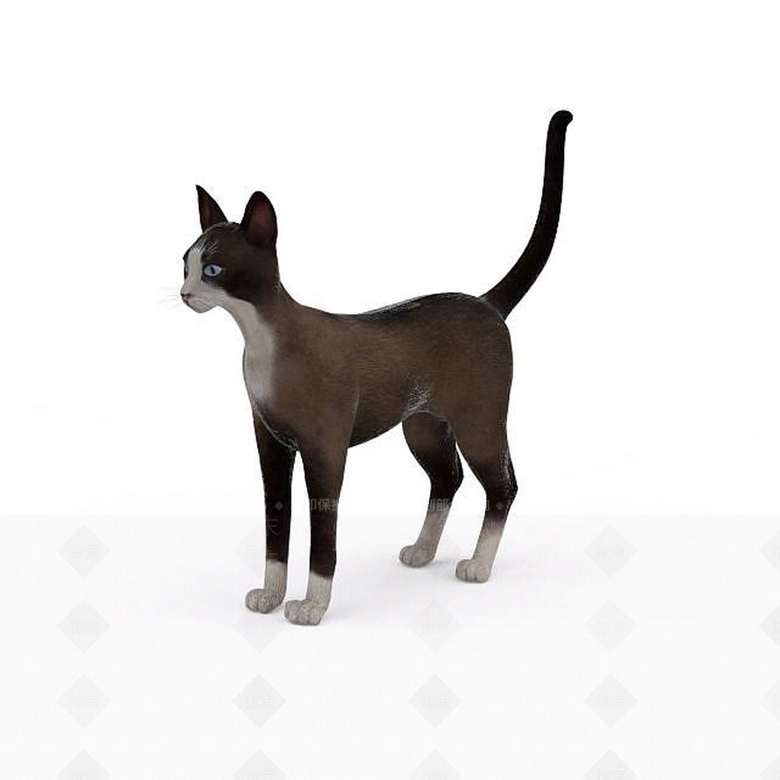 现代玩具猫3D模型下载【ID:1196189611】