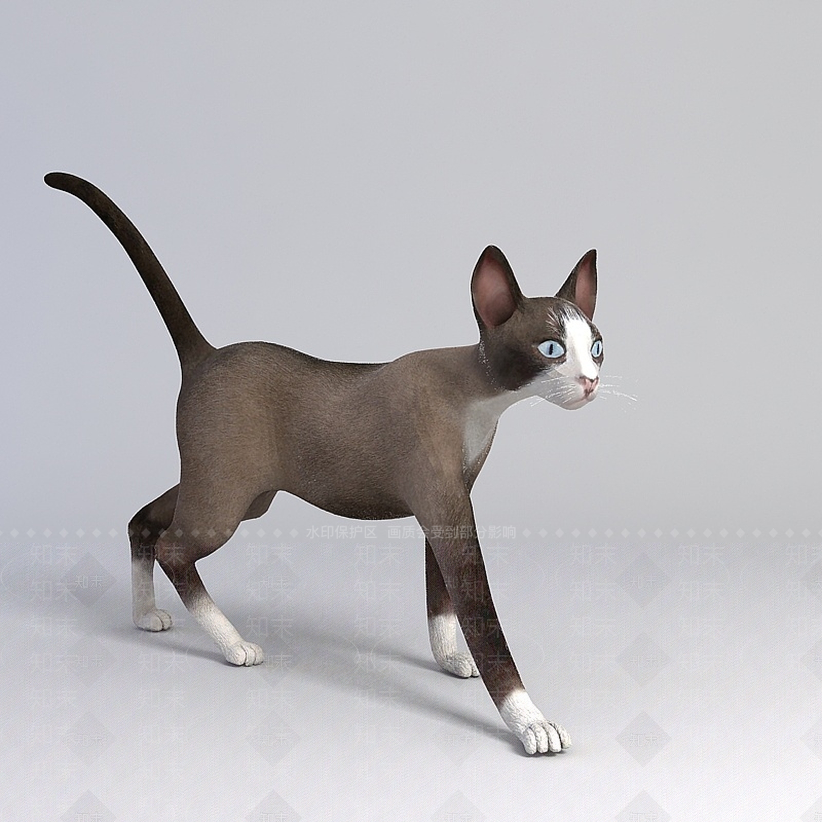 现代灰色猫咪3D模型下载【ID:1196189664】