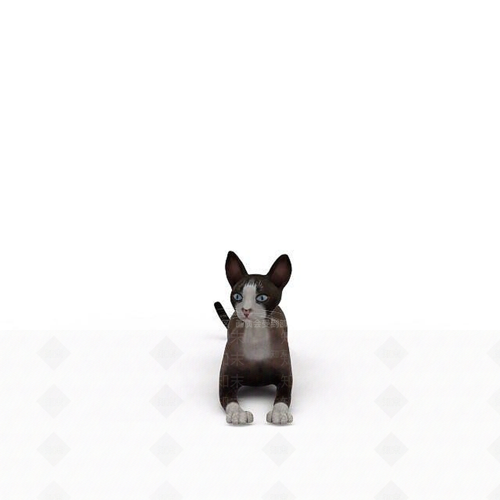 现代灰色家猫3D模型下载【ID:1196189647】