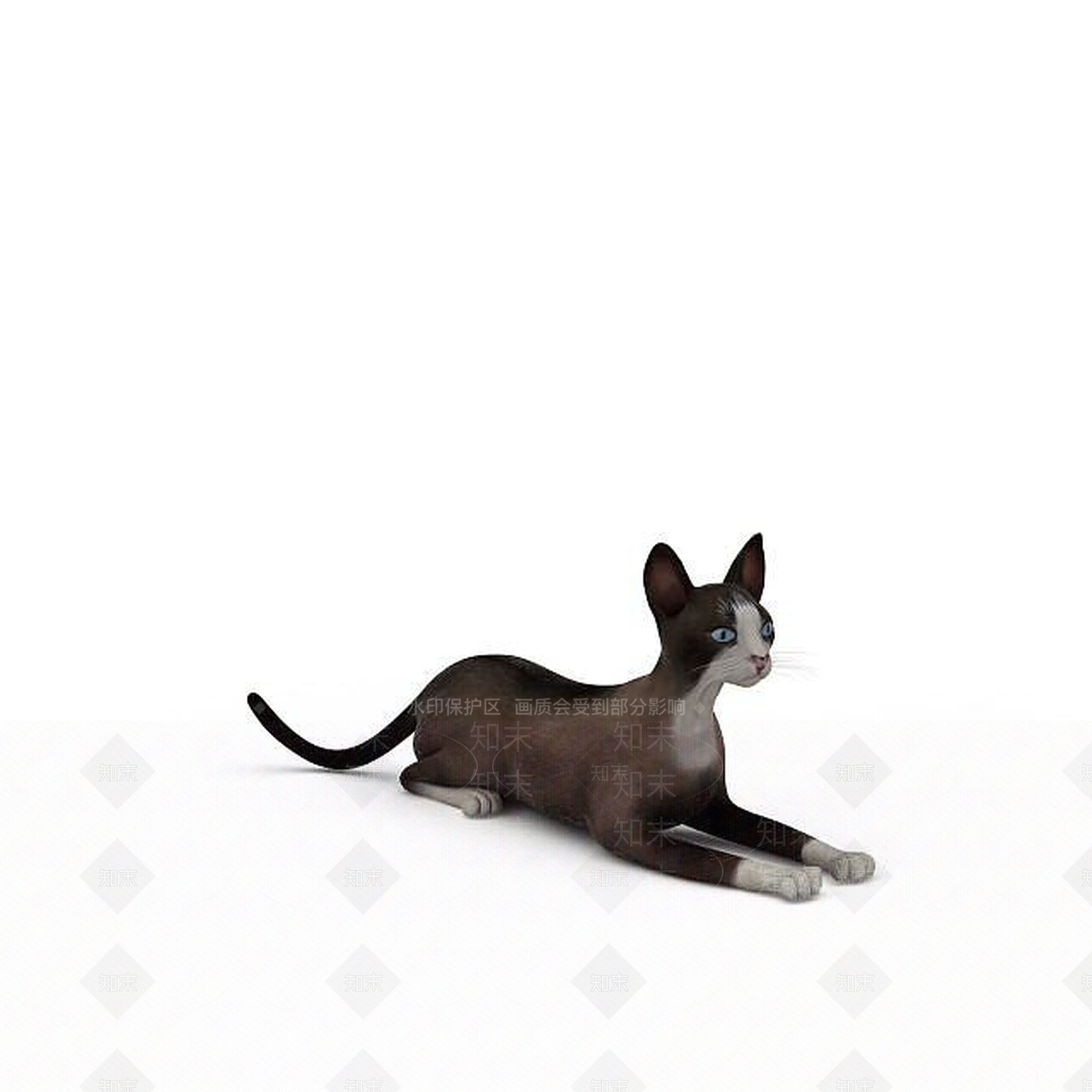 现代灰色家猫3D模型下载【ID:1196189647】