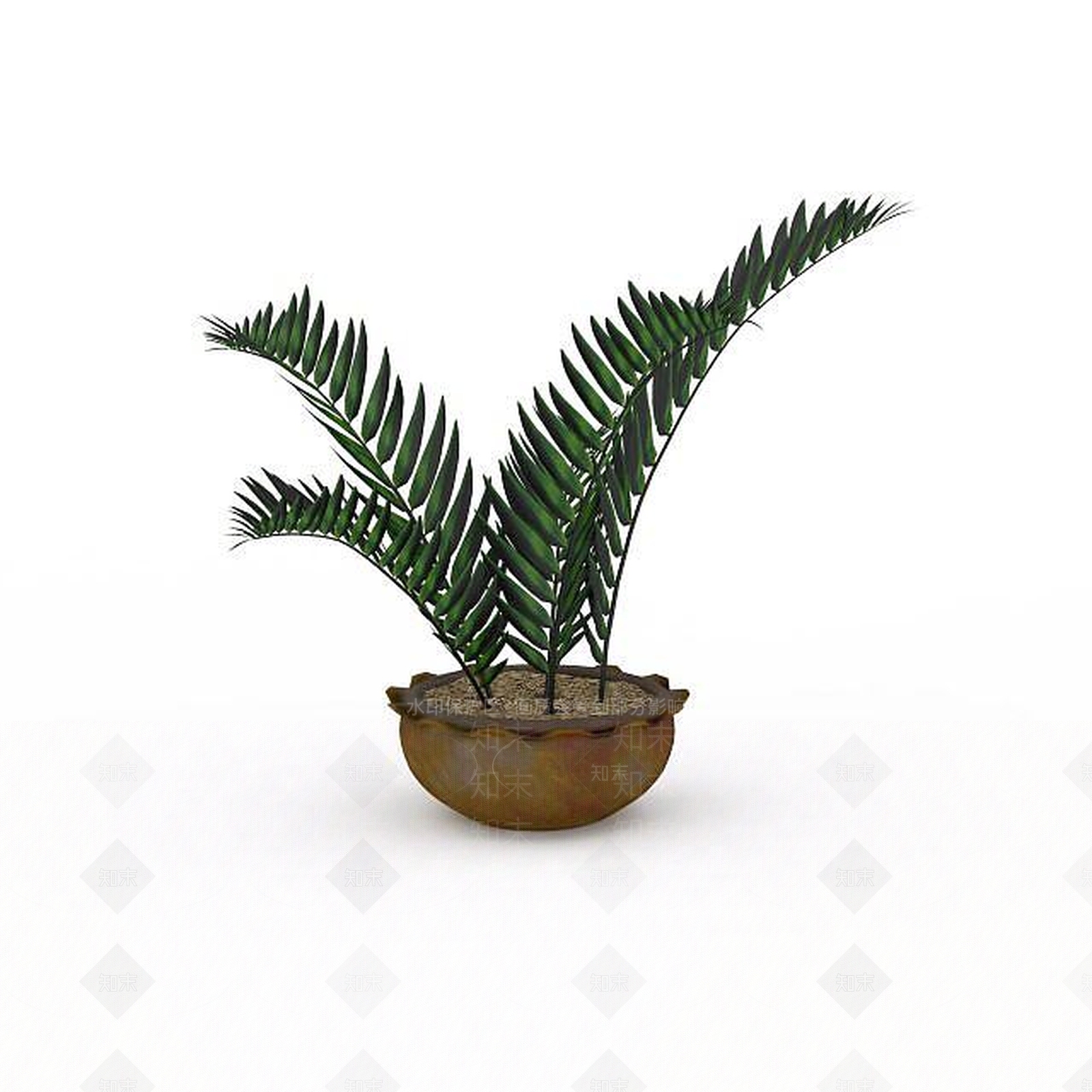 现代金钱树盆景3D模型下载【ID:1196199812】