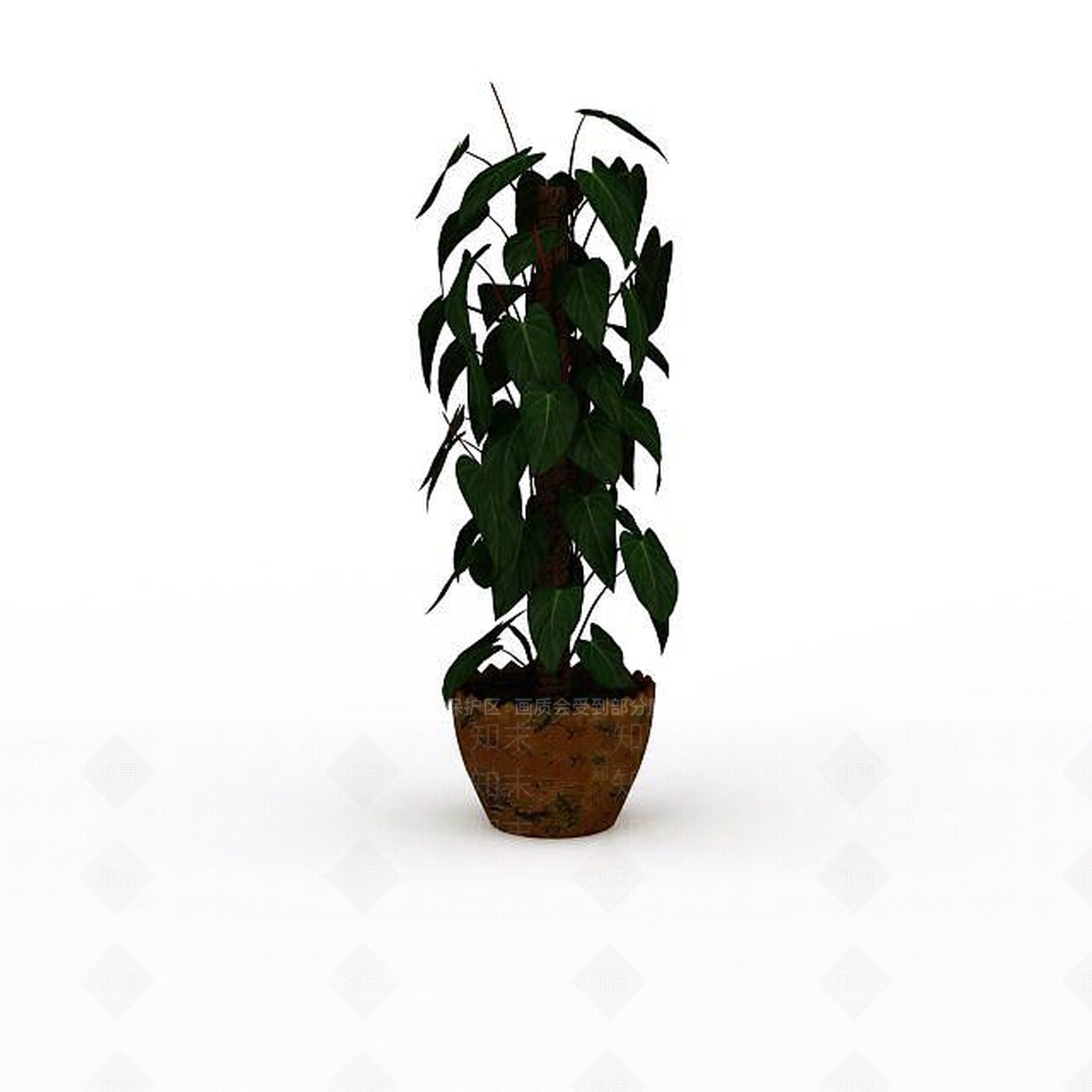 现代大叶绿萝盆景3D模型下载【ID:1196199858】