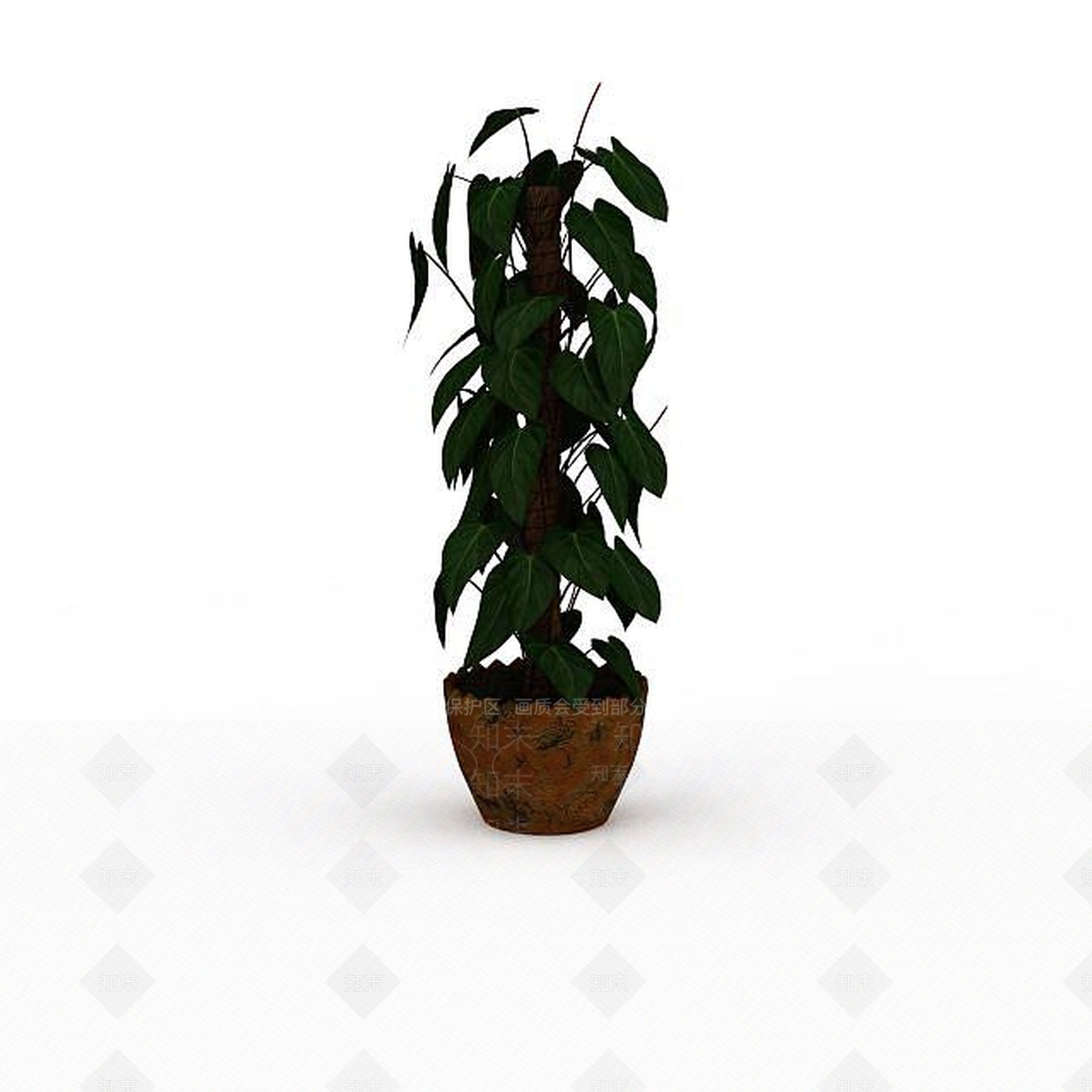 现代大叶绿萝盆景3D模型下载【ID:1196199858】