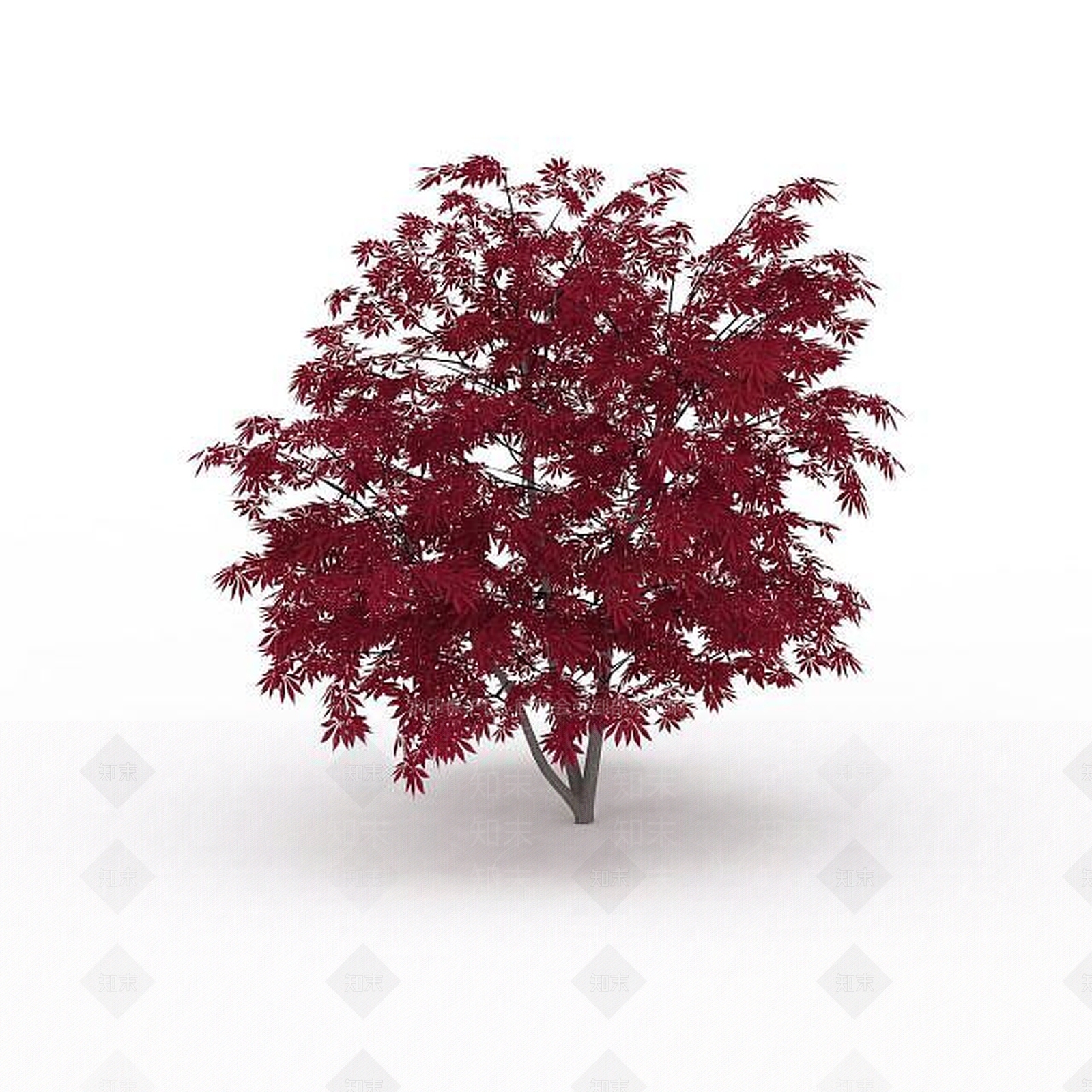 现代紫红色树叶树木3D模型下载【ID:1196201207】