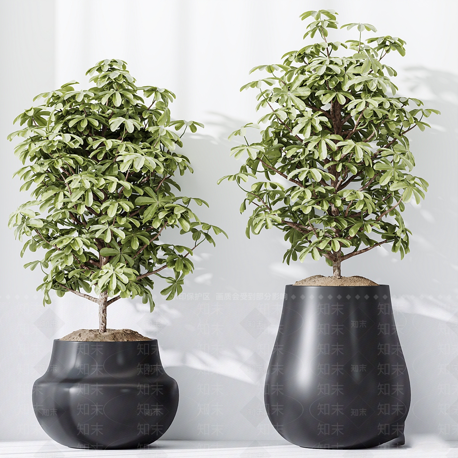 盆栽3D模型下载【ID:1196214587】