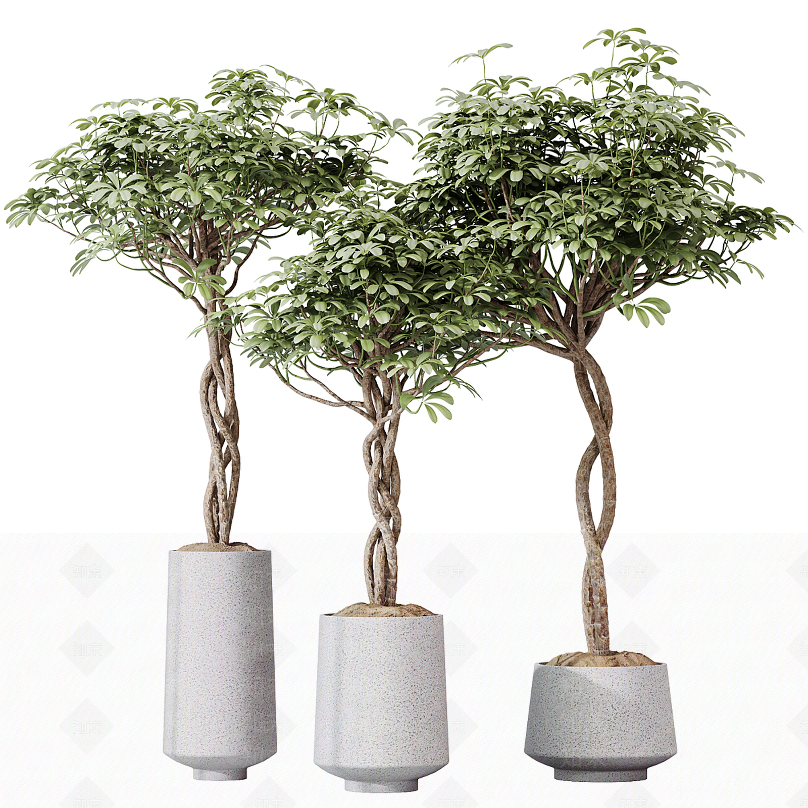 盆栽3D模型下载【ID:1196214813】