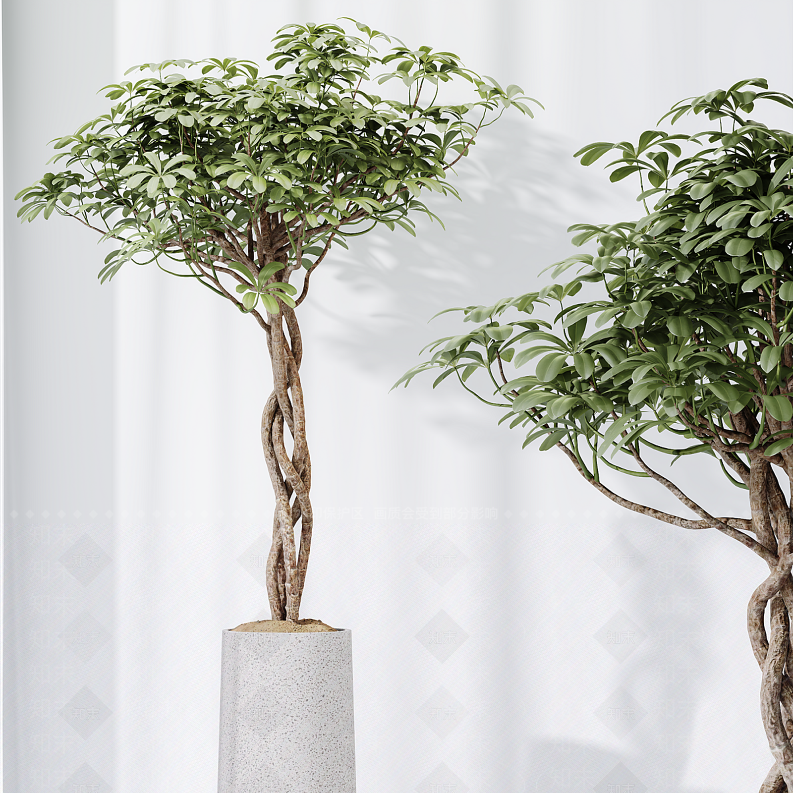 盆栽3D模型下载【ID:1196214813】