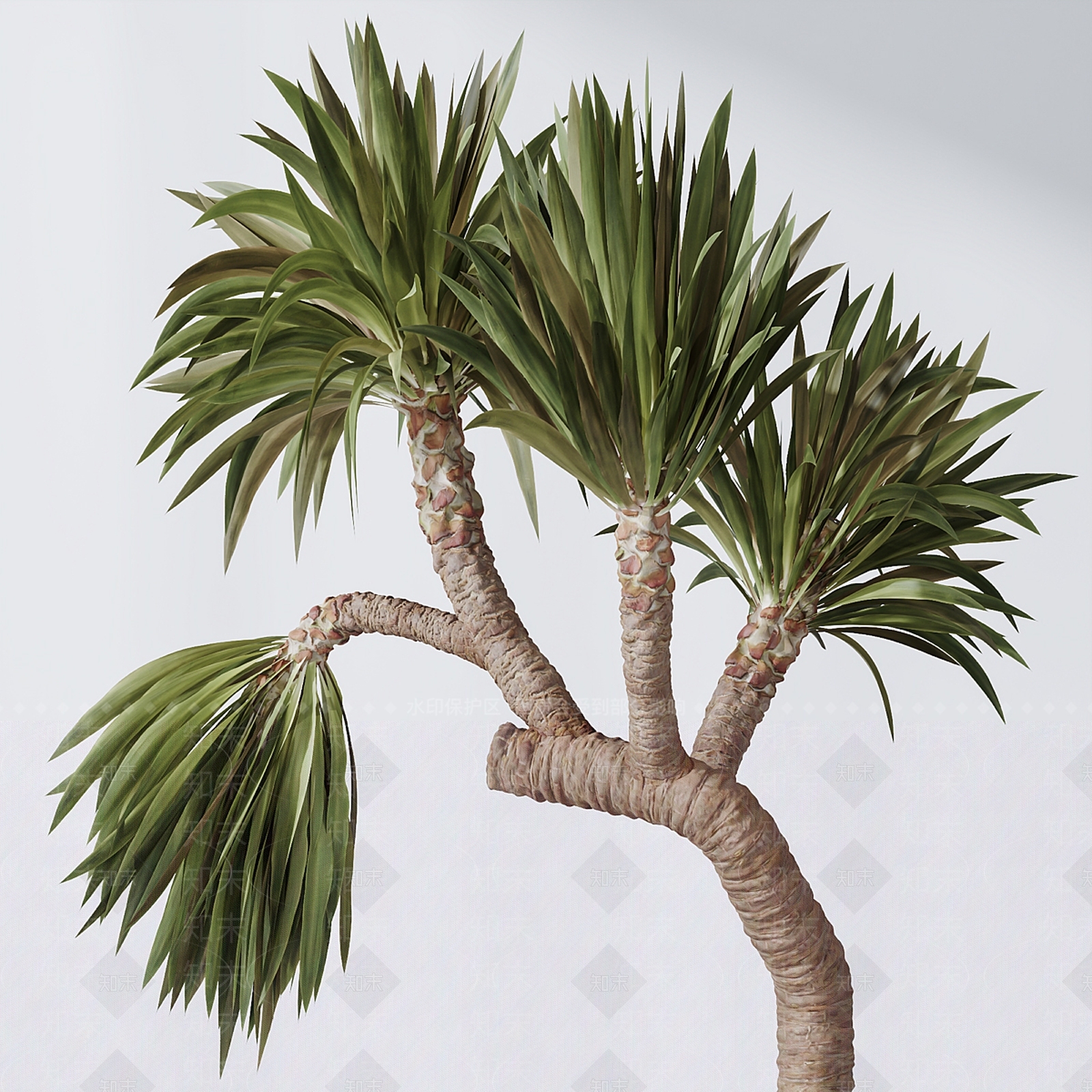 盆栽3D模型下载【ID:1196215223】