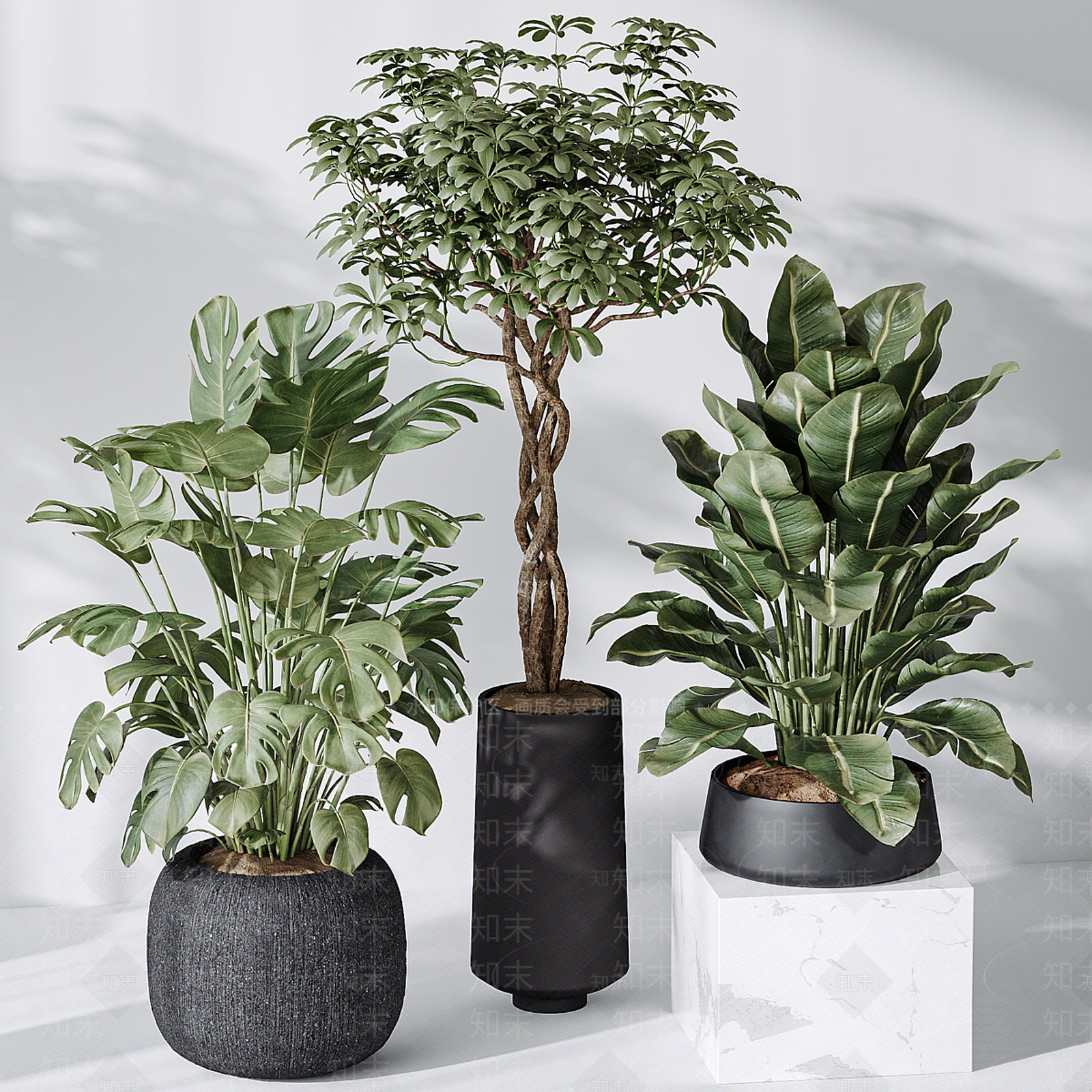 盆栽3D模型下载【ID:1196229320】