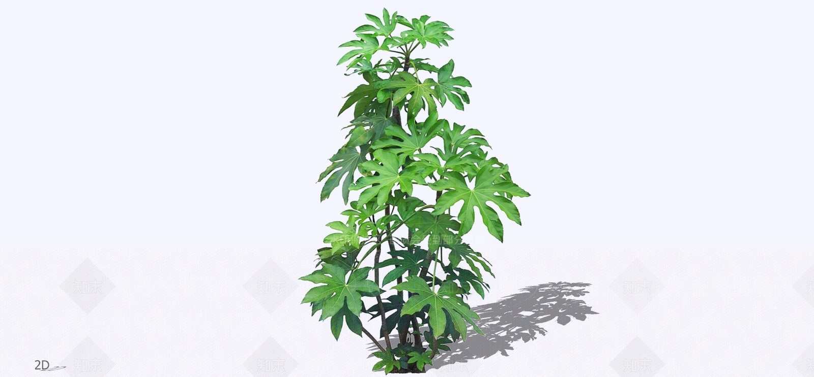 灌木SU模型下载【ID:1196256532】