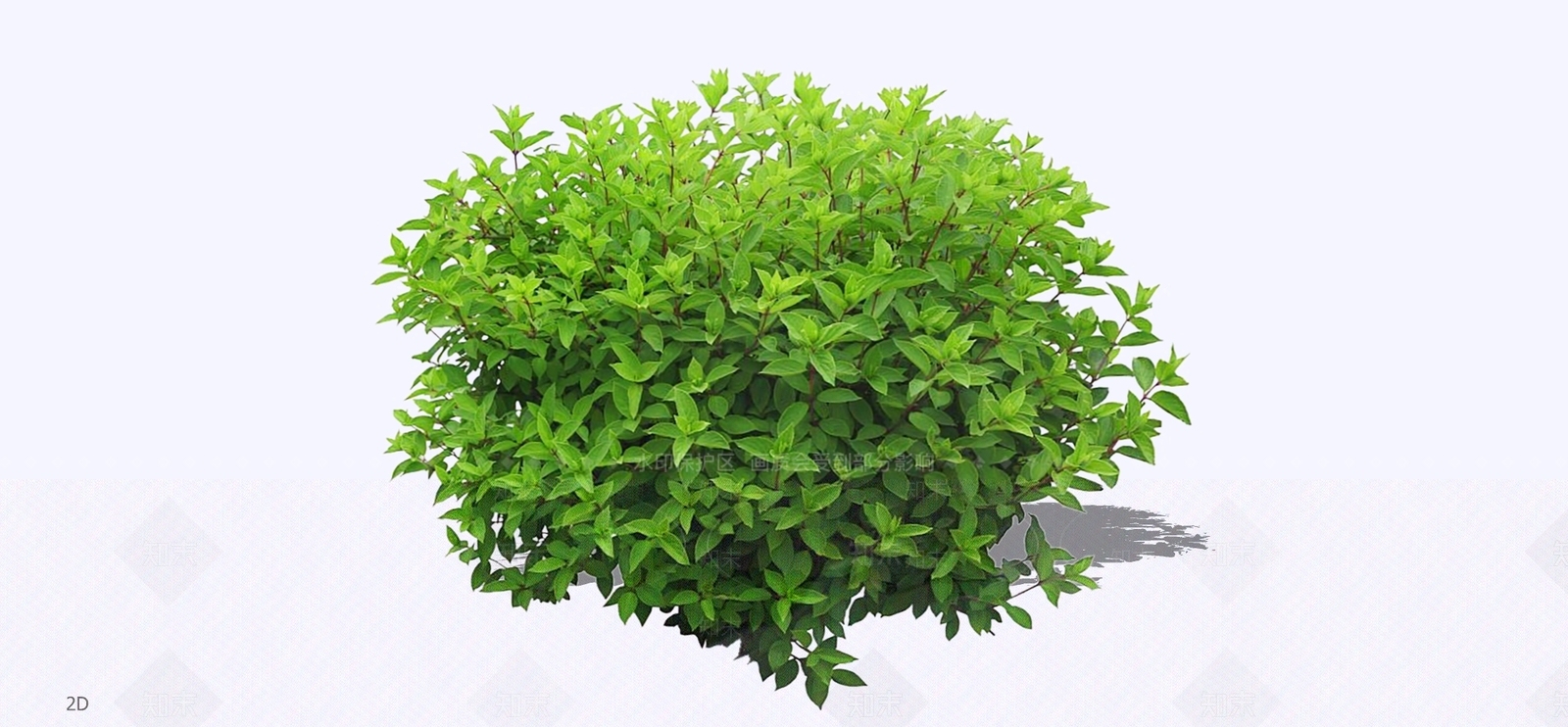 灌木SU模型下载【ID:1196261252】