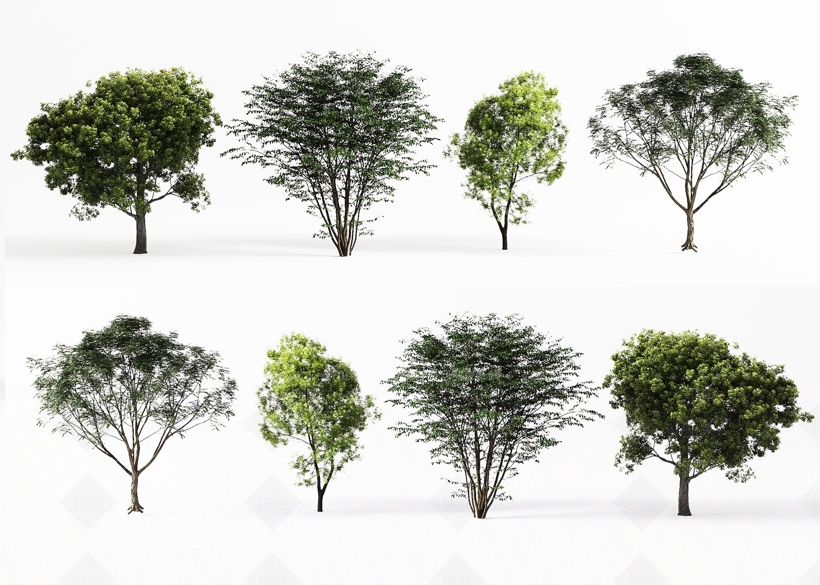 景观树3D模型下载【ID:1196265305】