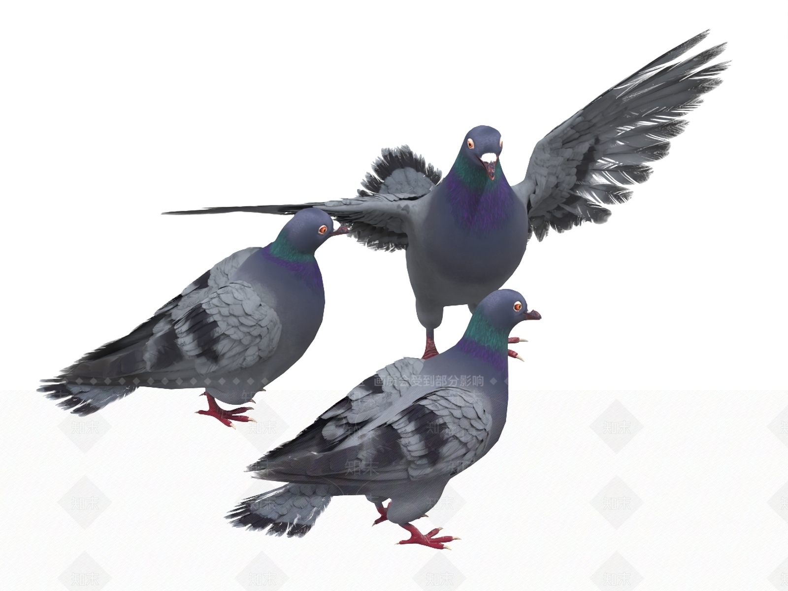 飞行类动物3D模型下载【ID:1196277319】