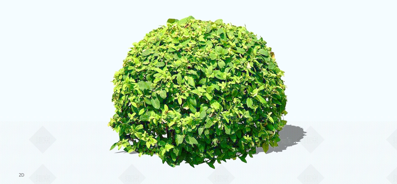 灌木SU模型下载【ID:1196293865】