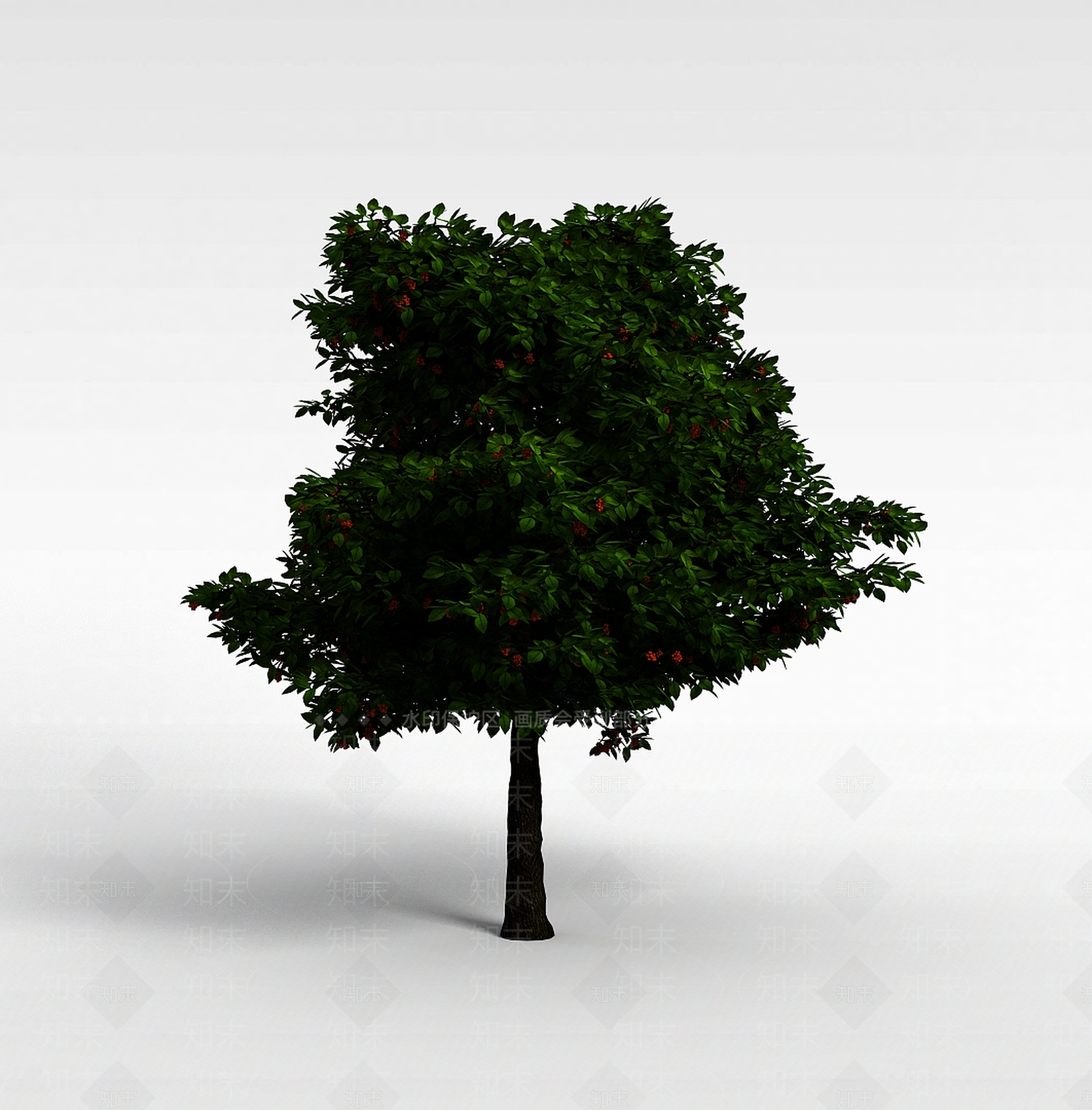现代桂花树3D模型下载【ID:1196304603】