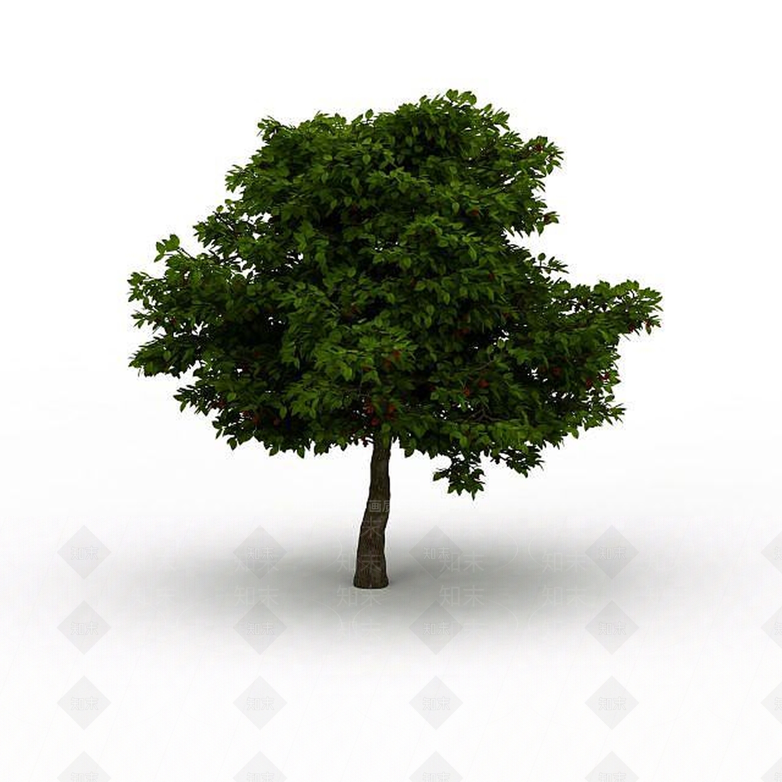 现代桂花树3D模型下载【ID:1196304603】