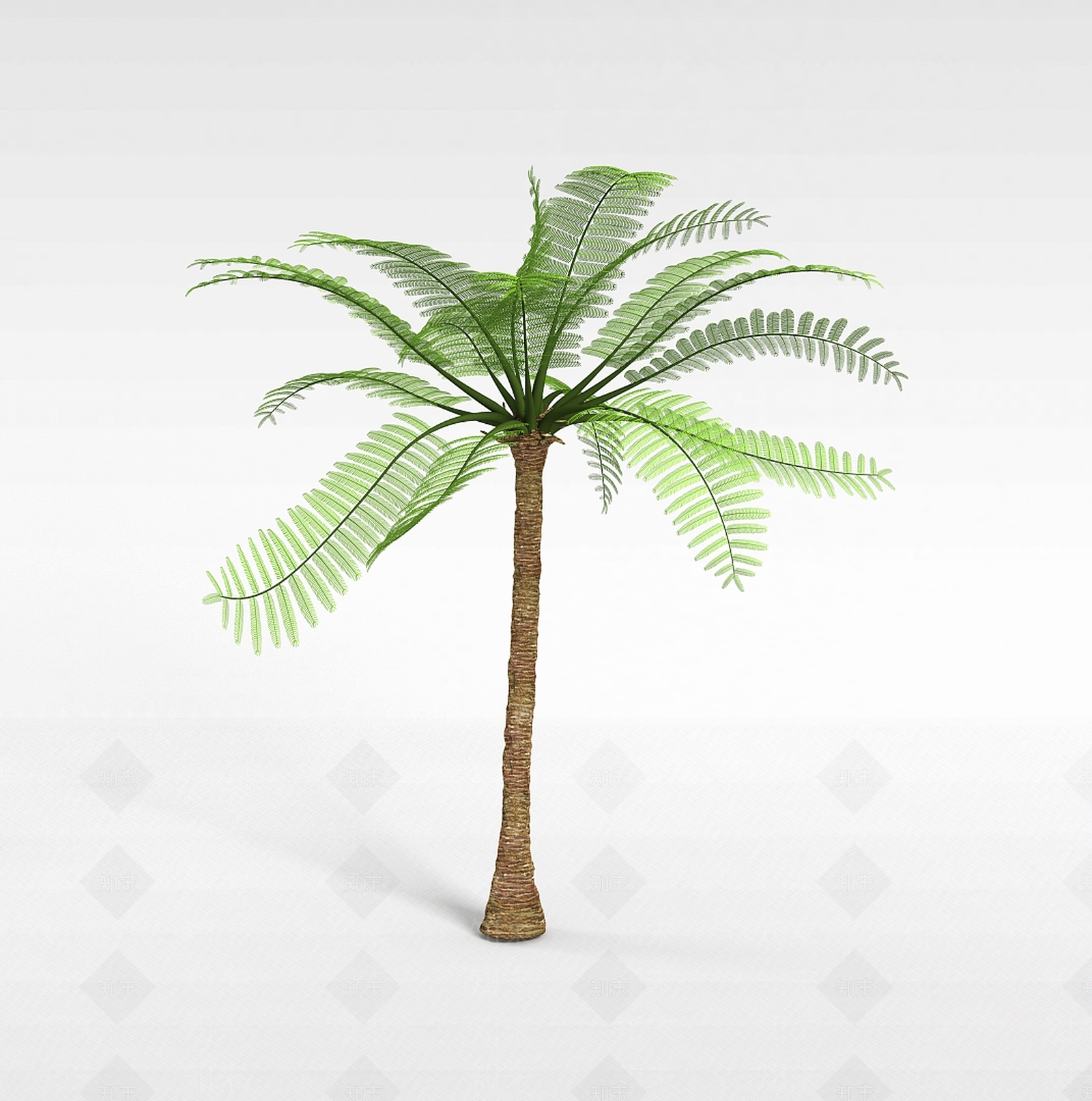 现代海边椰子树3D模型下载【ID:1196343314】