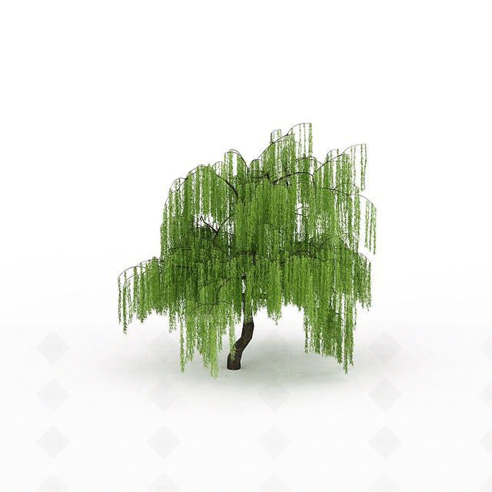 现代园林柳树3D模型下载【ID:1196343605】