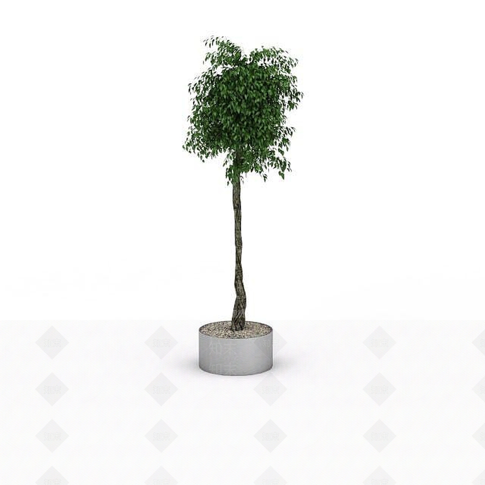 现代景观植物3D模型下载【ID:1196343951】