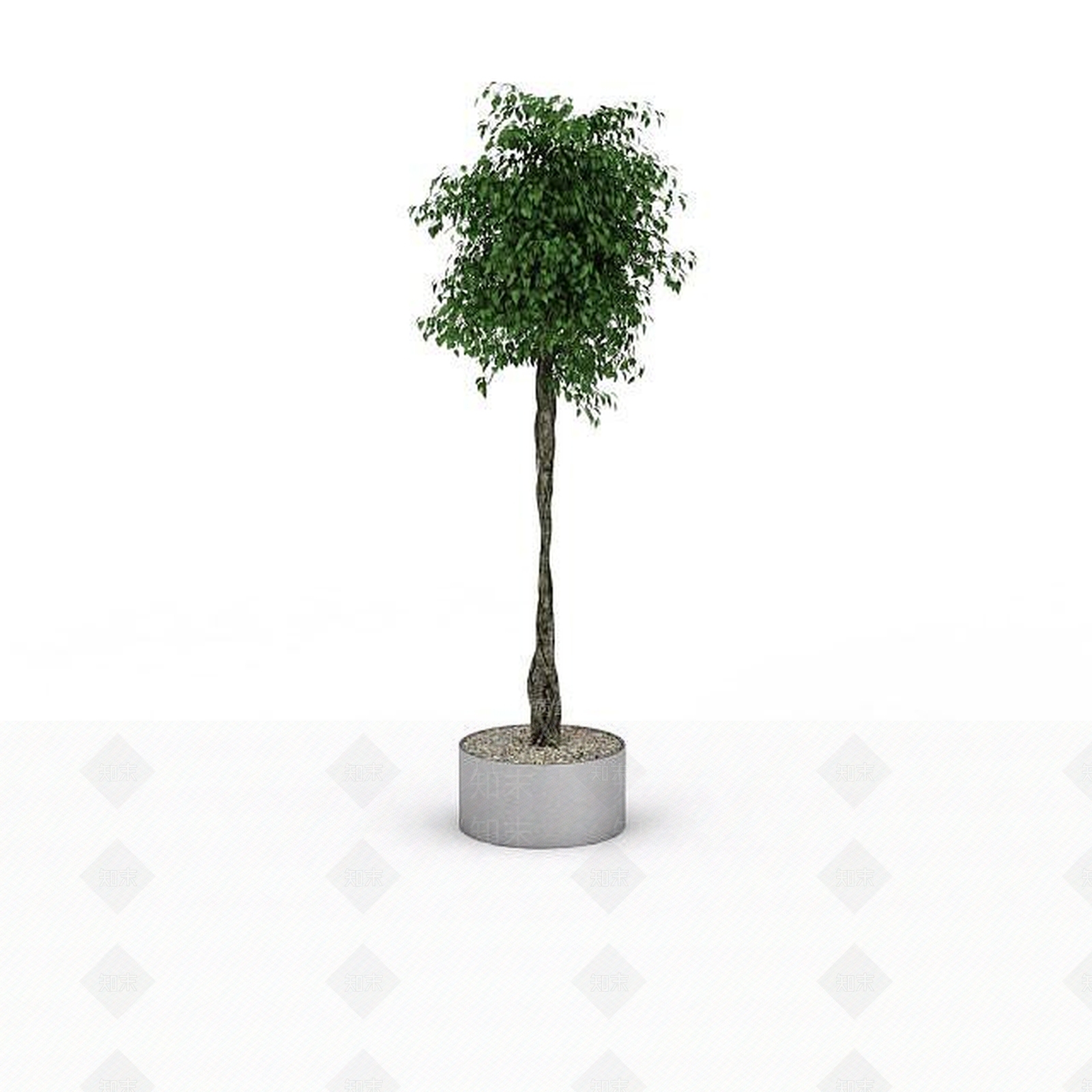 现代景观植物3D模型下载【ID:1196343951】