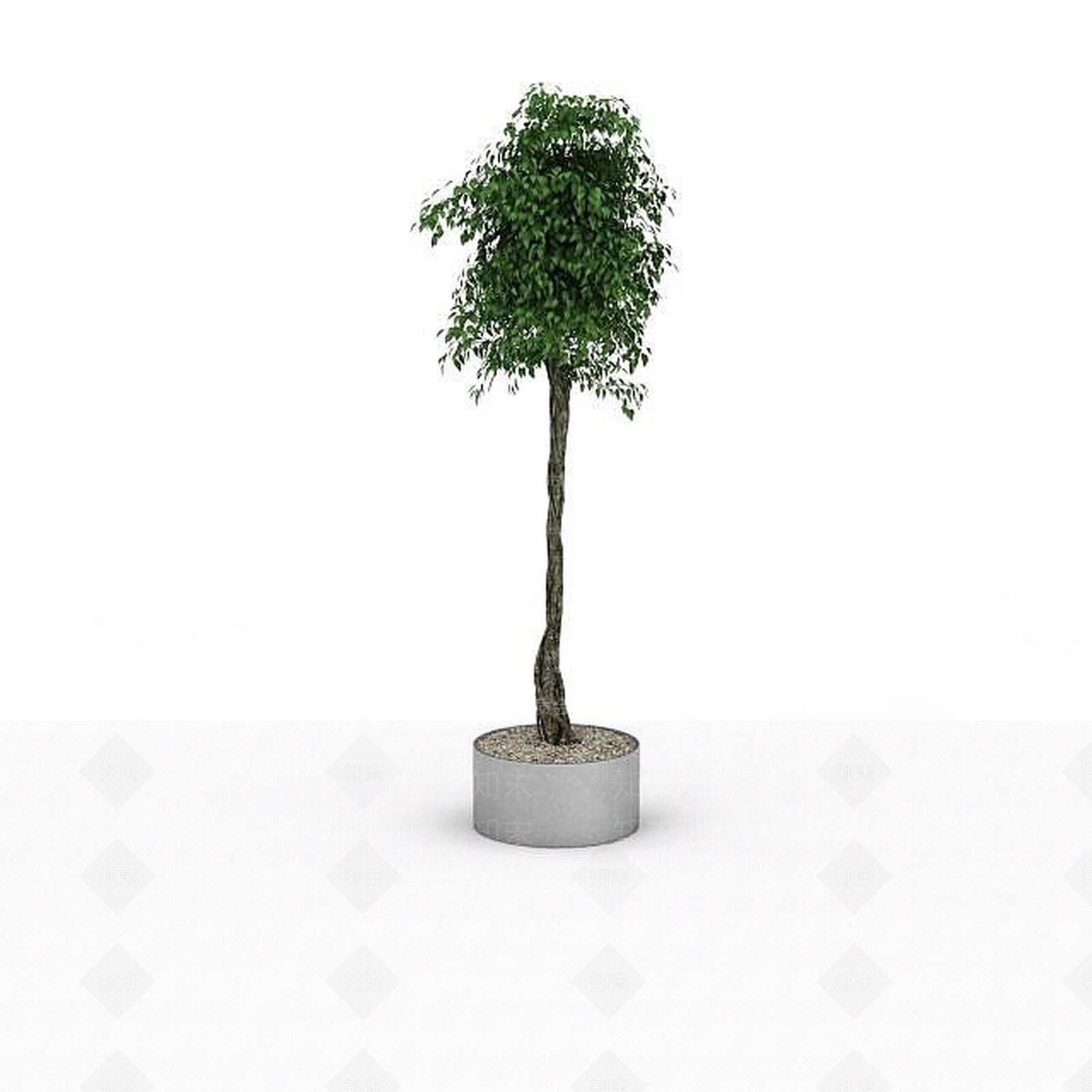 现代景观植物3D模型下载【ID:1196343951】