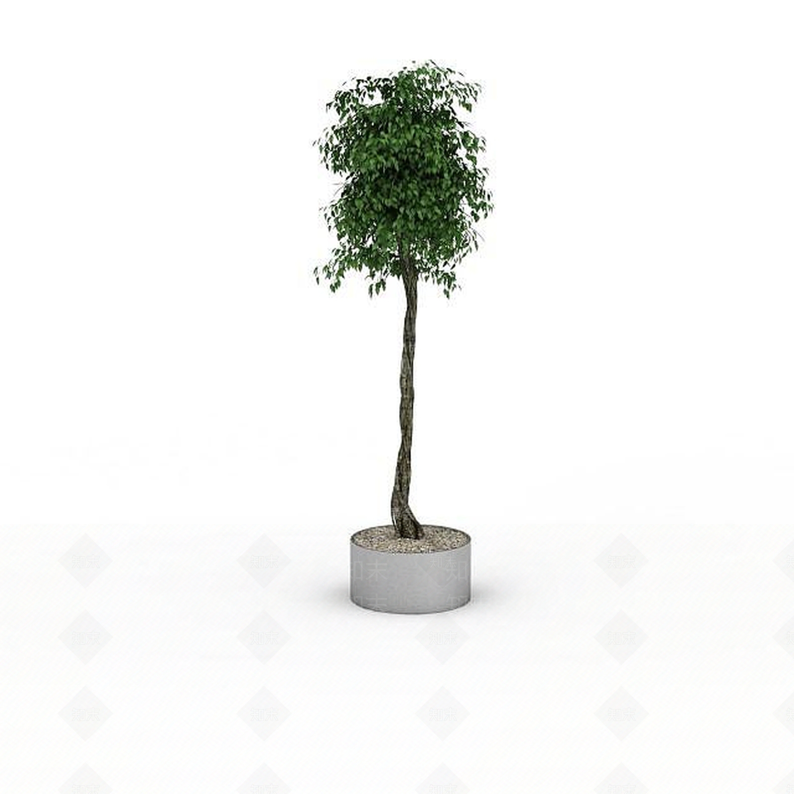 现代景观植物3D模型下载【ID:1196343951】