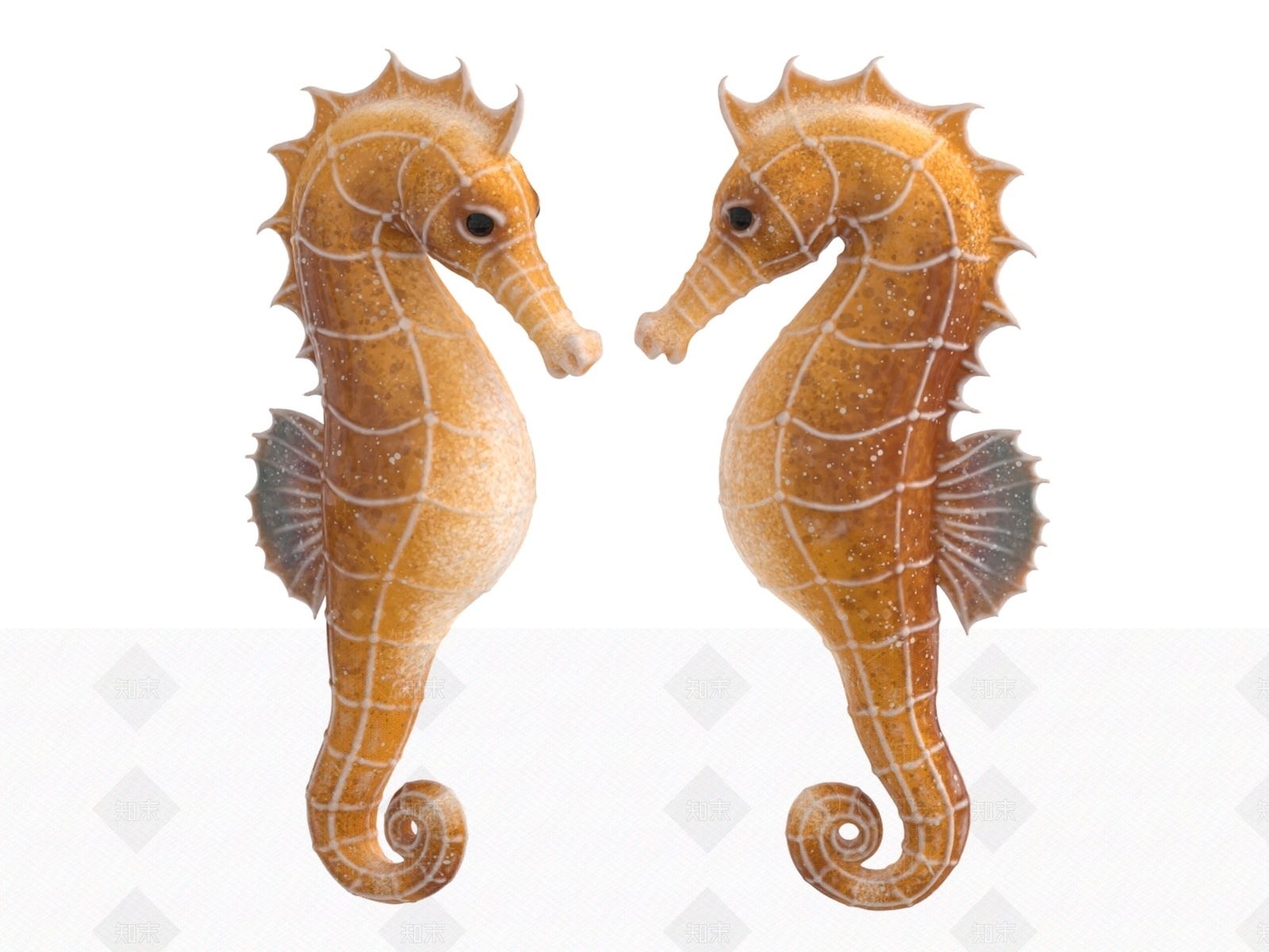 水生类动物3D模型下载【ID:1196418872】