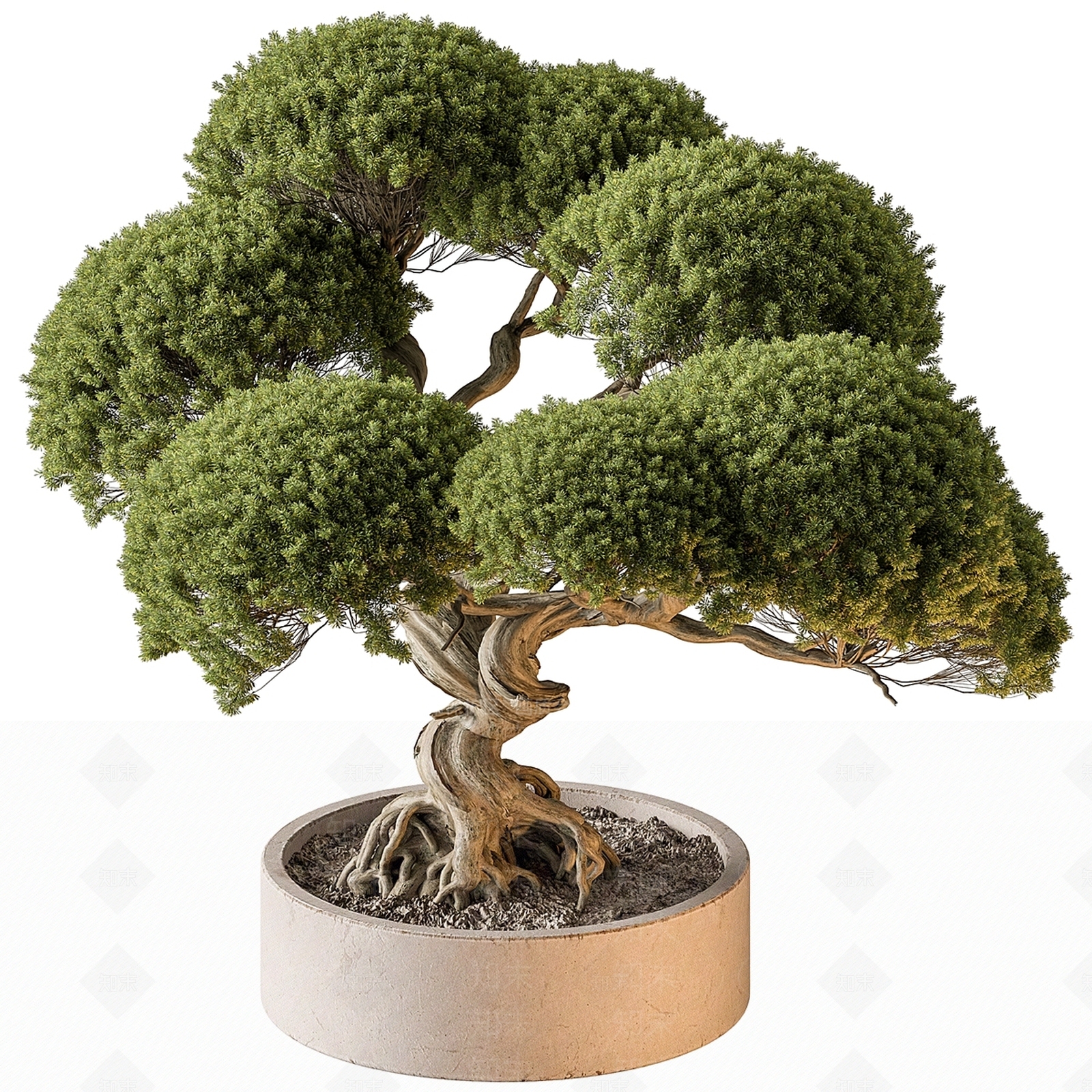 盆栽3D模型下载【ID:1196421590】