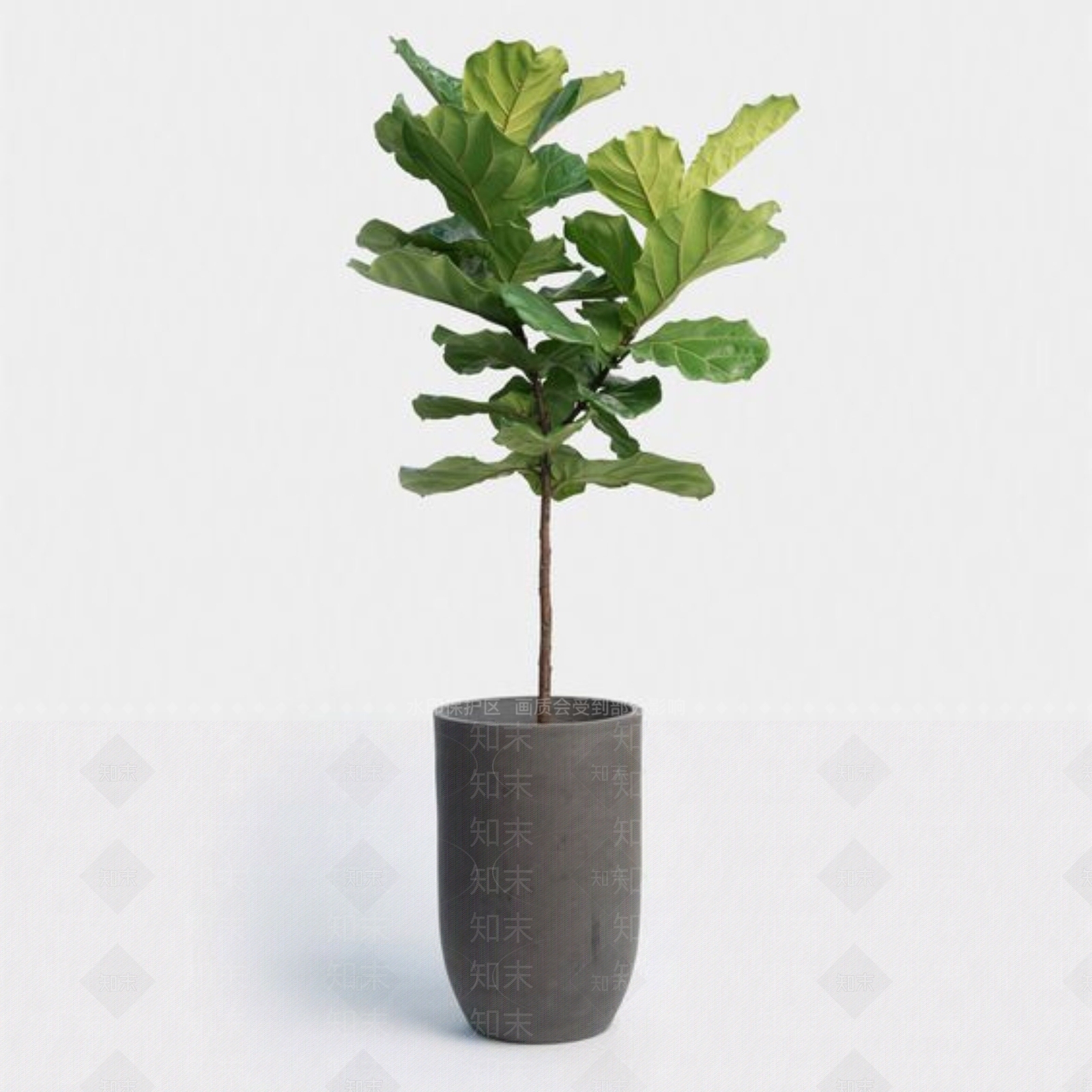 盆栽SU模型下载【ID:1196424358】