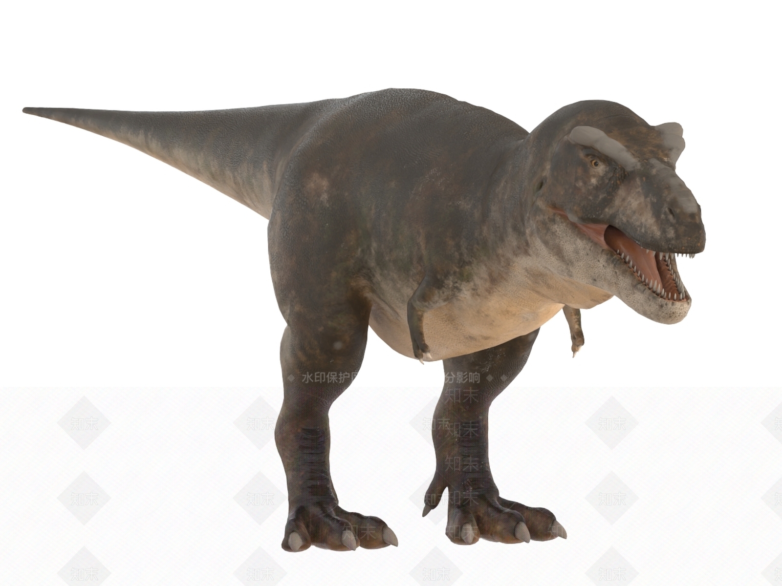 其他动物3D模型下载【ID:1196429398】