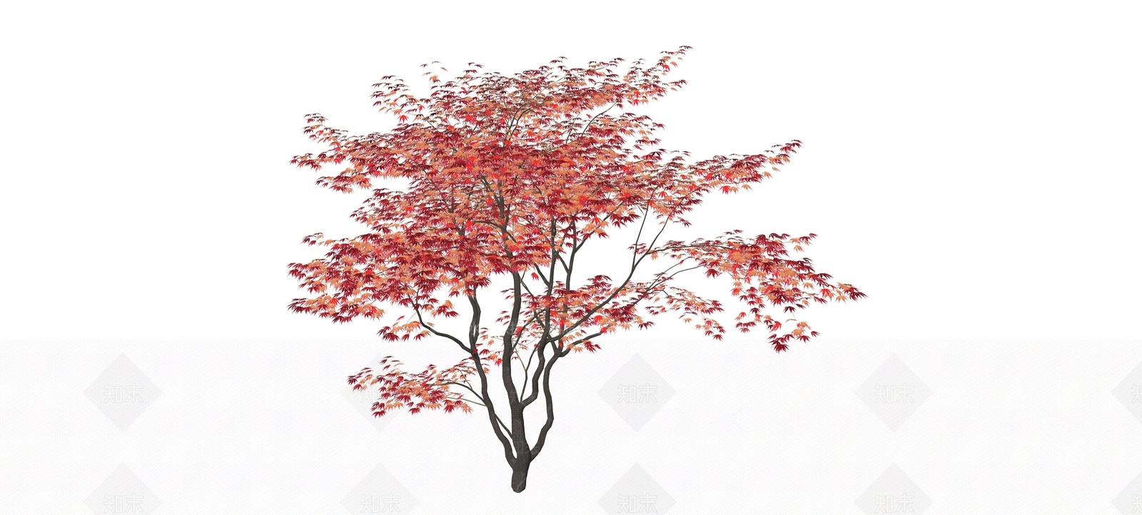 乔木SU模型下载【ID:1196437552】