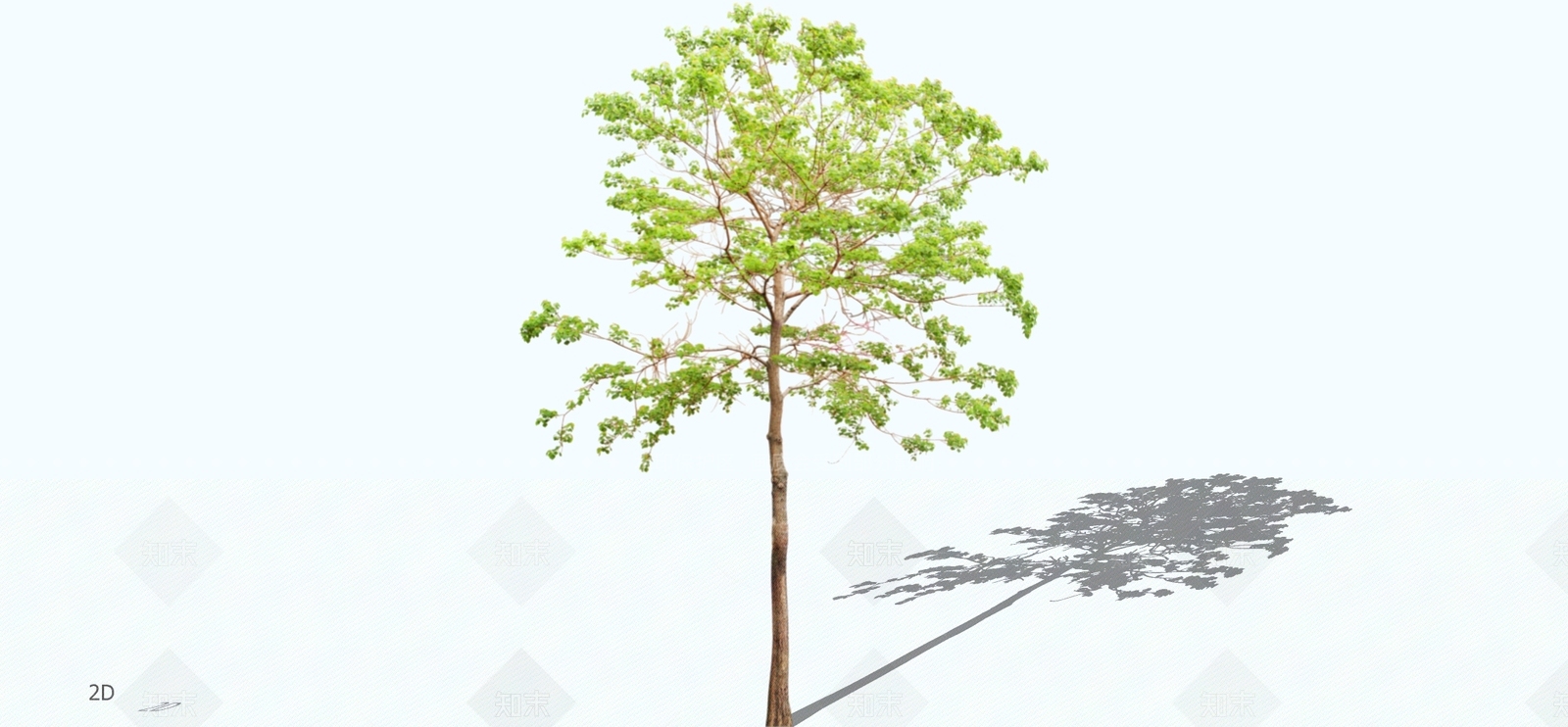 乔木SU模型下载【ID:1196441313】