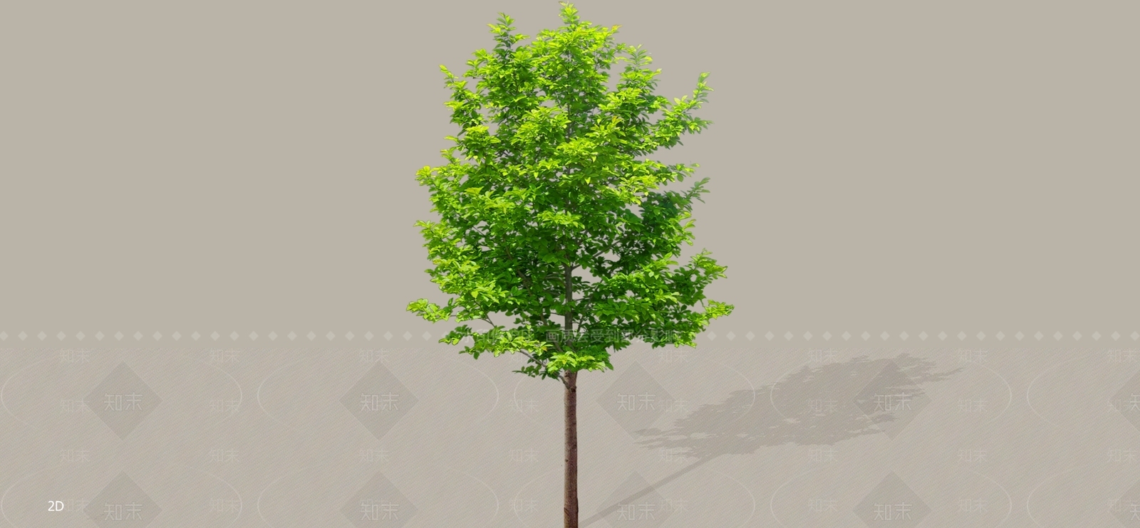乔木SU模型下载【ID:1196442186】