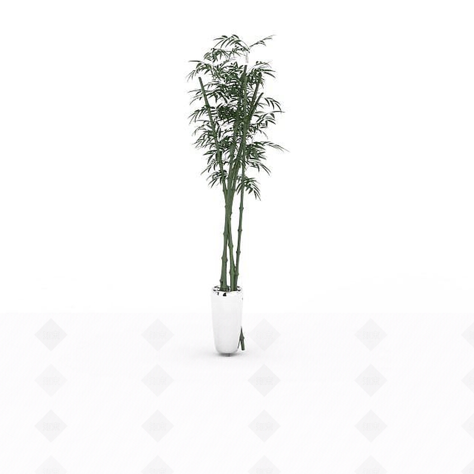 现代绿竹盆栽3D模型下载【ID:1196448306】