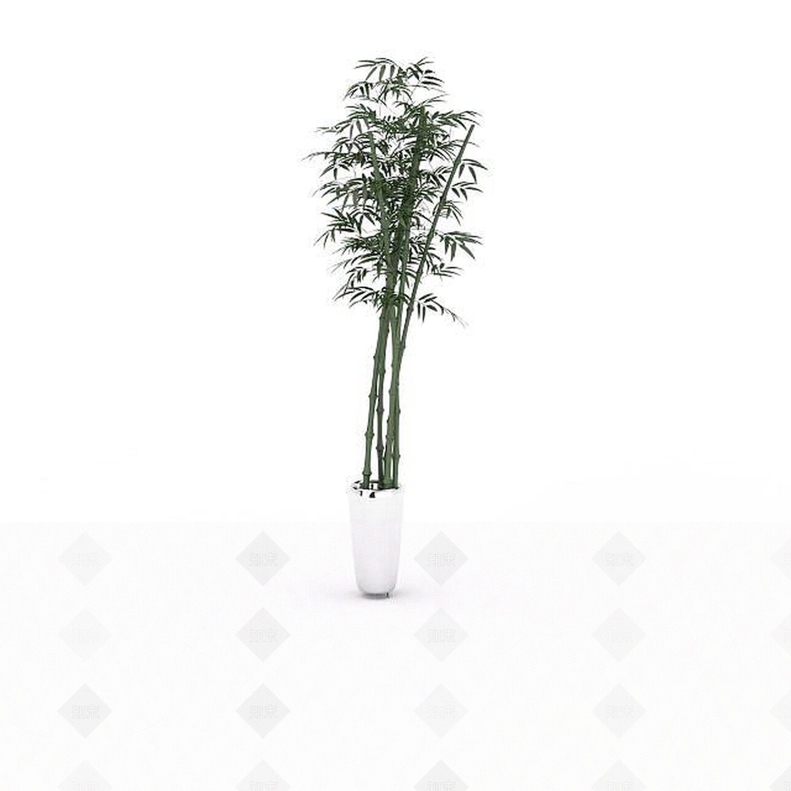 现代绿竹盆栽3D模型下载【ID:1196448306】