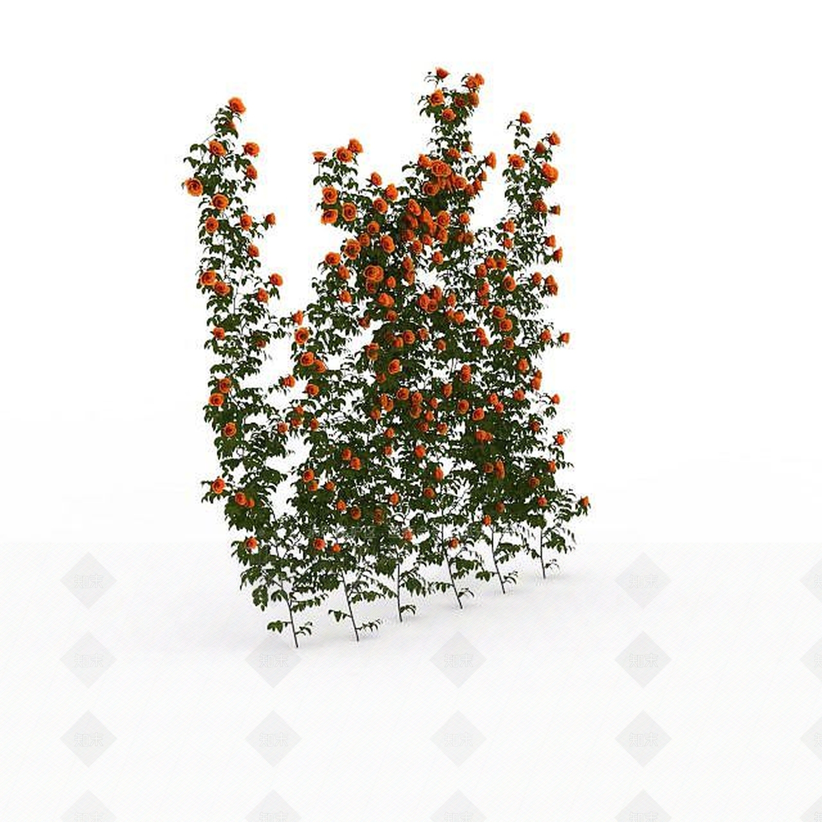 现代橘色景观花绿植3D模型下载【ID:1196448468】
