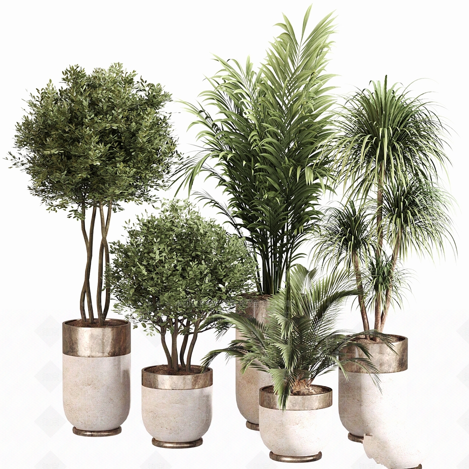 盆栽3D模型下载【ID:1196465937】