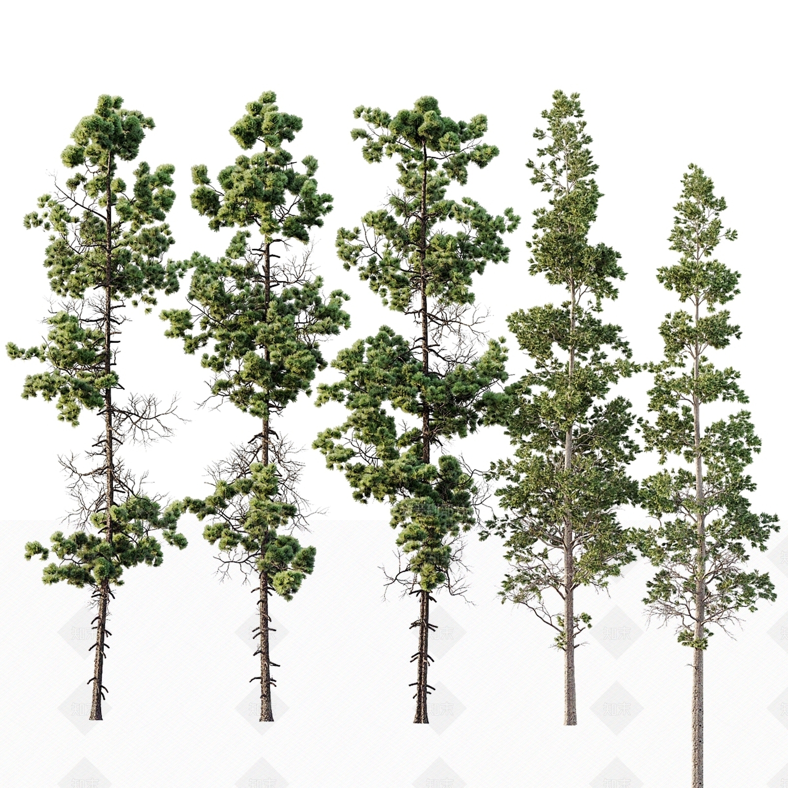 其他树木3D模型下载【ID:1196478326】
