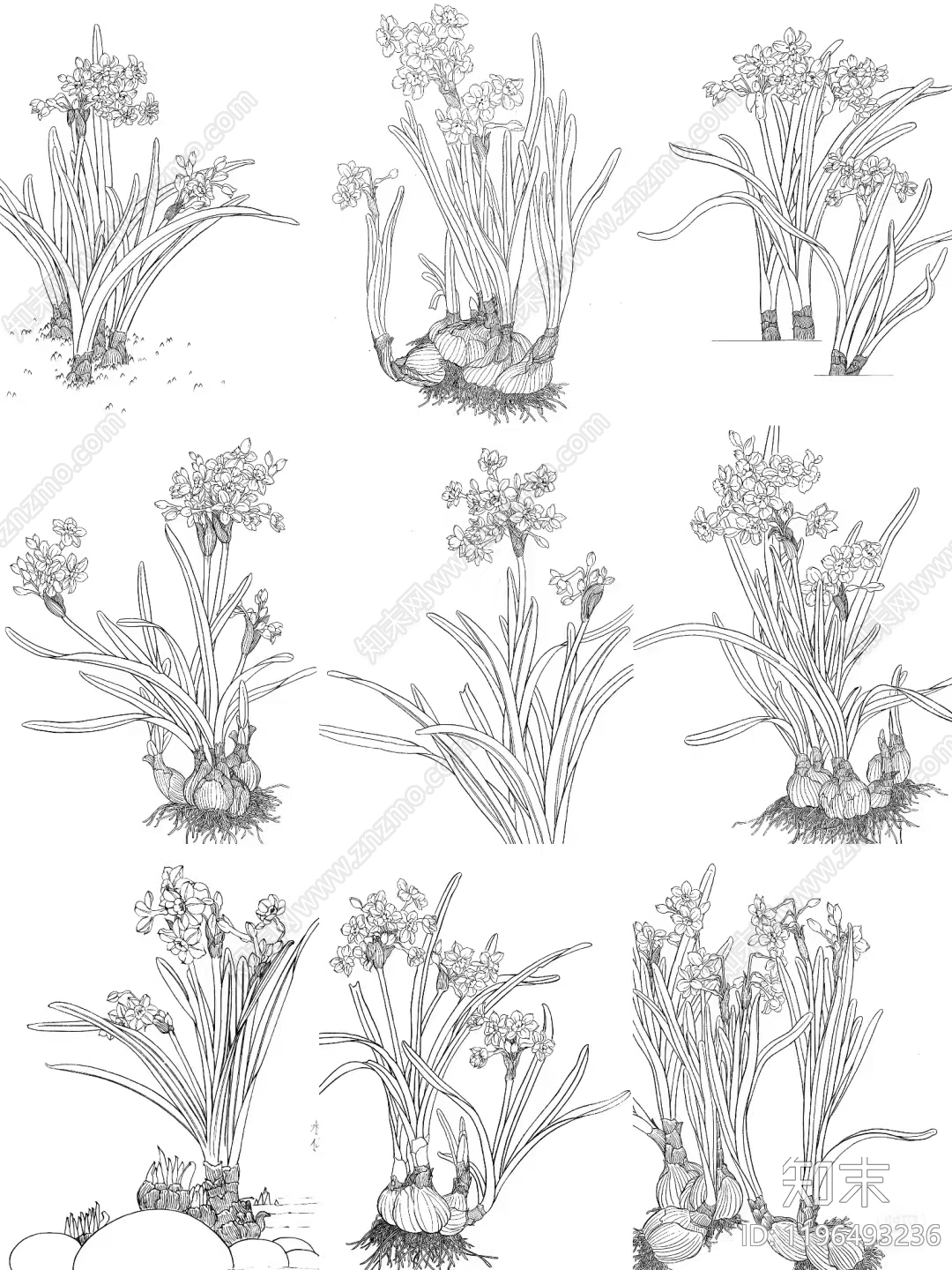 现代花施工图下载【ID:1196493236】