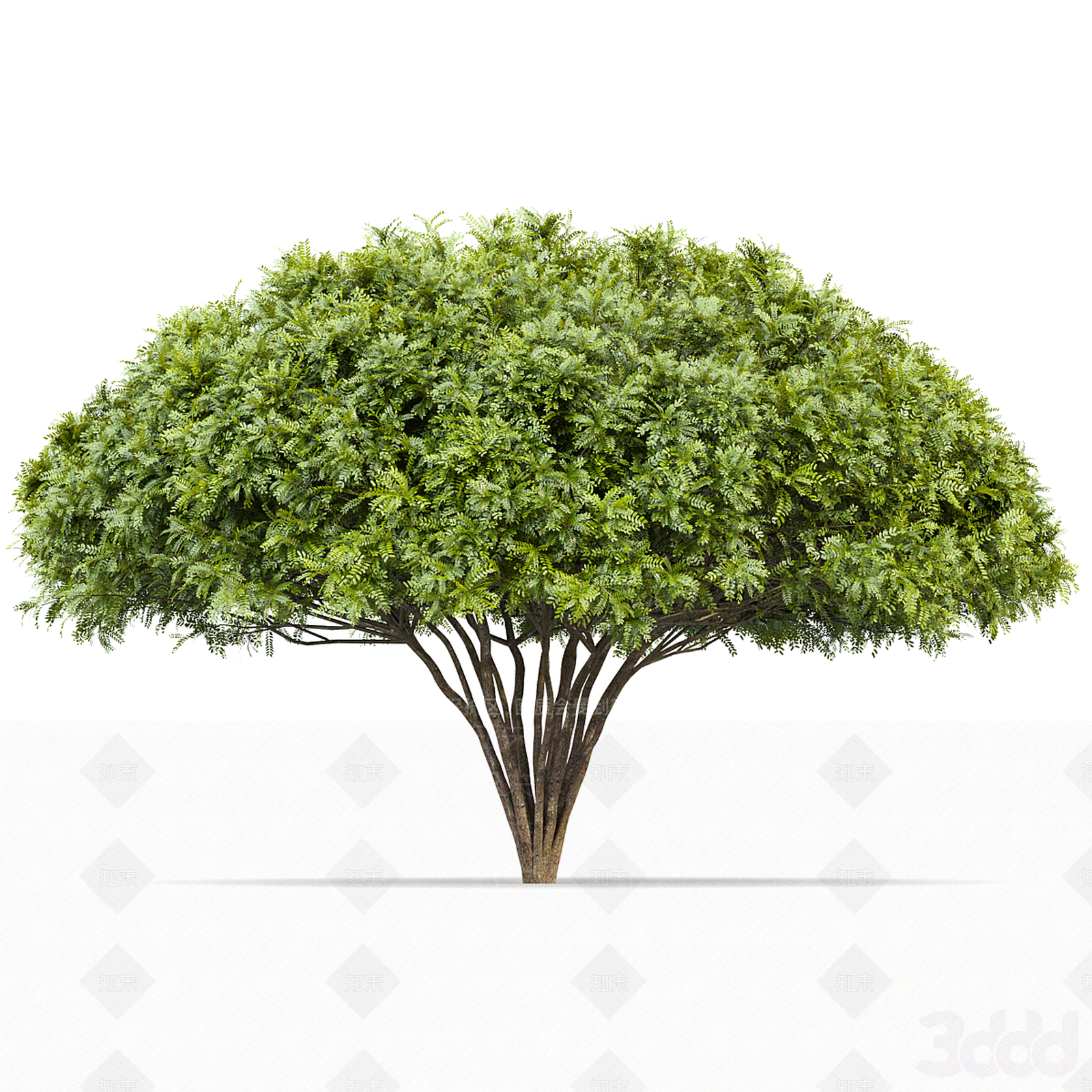 景观树3D模型下载【ID:1196513526】